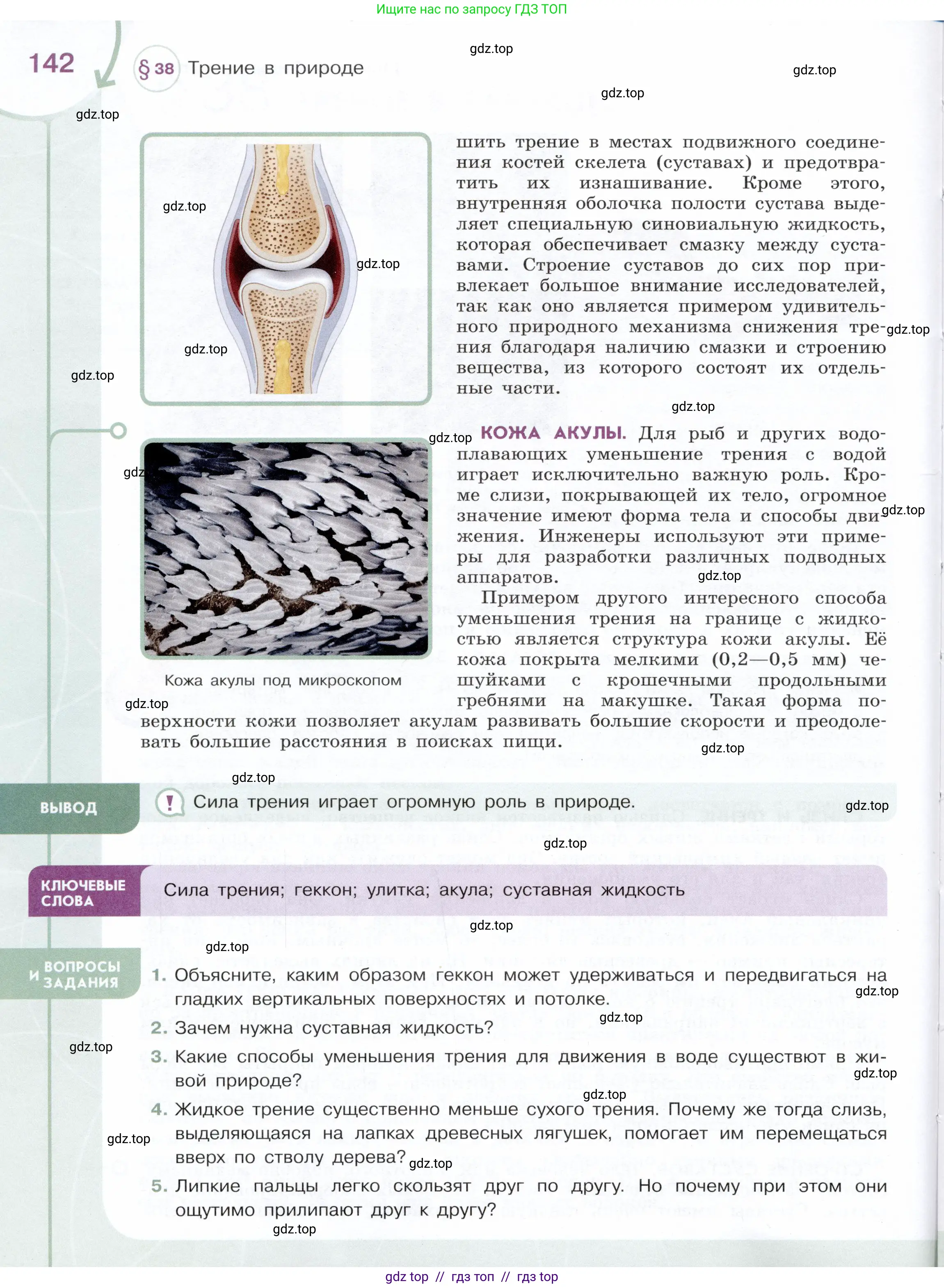 Физика, 7 класс Учебник, авторы: Белага Виктория Владимировна, Воронцова Наталия Игоревна, Ломаченков Иван Алексеевич, Панебратцев Юрий Анатольевич, издательство Просвещение, Москва, 2024, Часть 1, страница 142