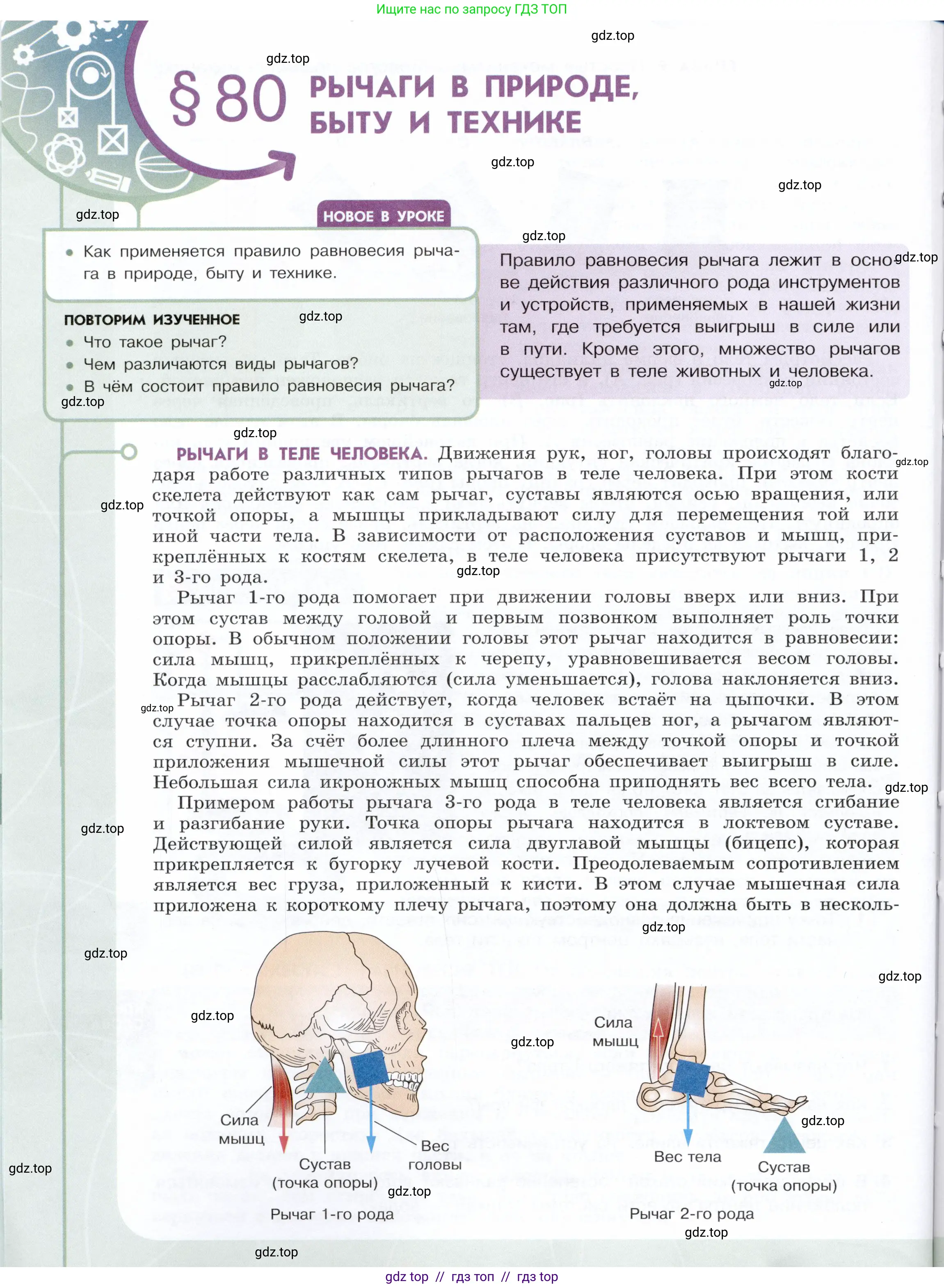Физика, 7 класс Учебник, авторы: Белага Виктория Владимировна, Воронцова Наталия Игоревна, Ломаченков Иван Алексеевич, Панебратцев Юрий Анатольевич, издательство Просвещение, Москва, 2024, Часть 2, страница 130