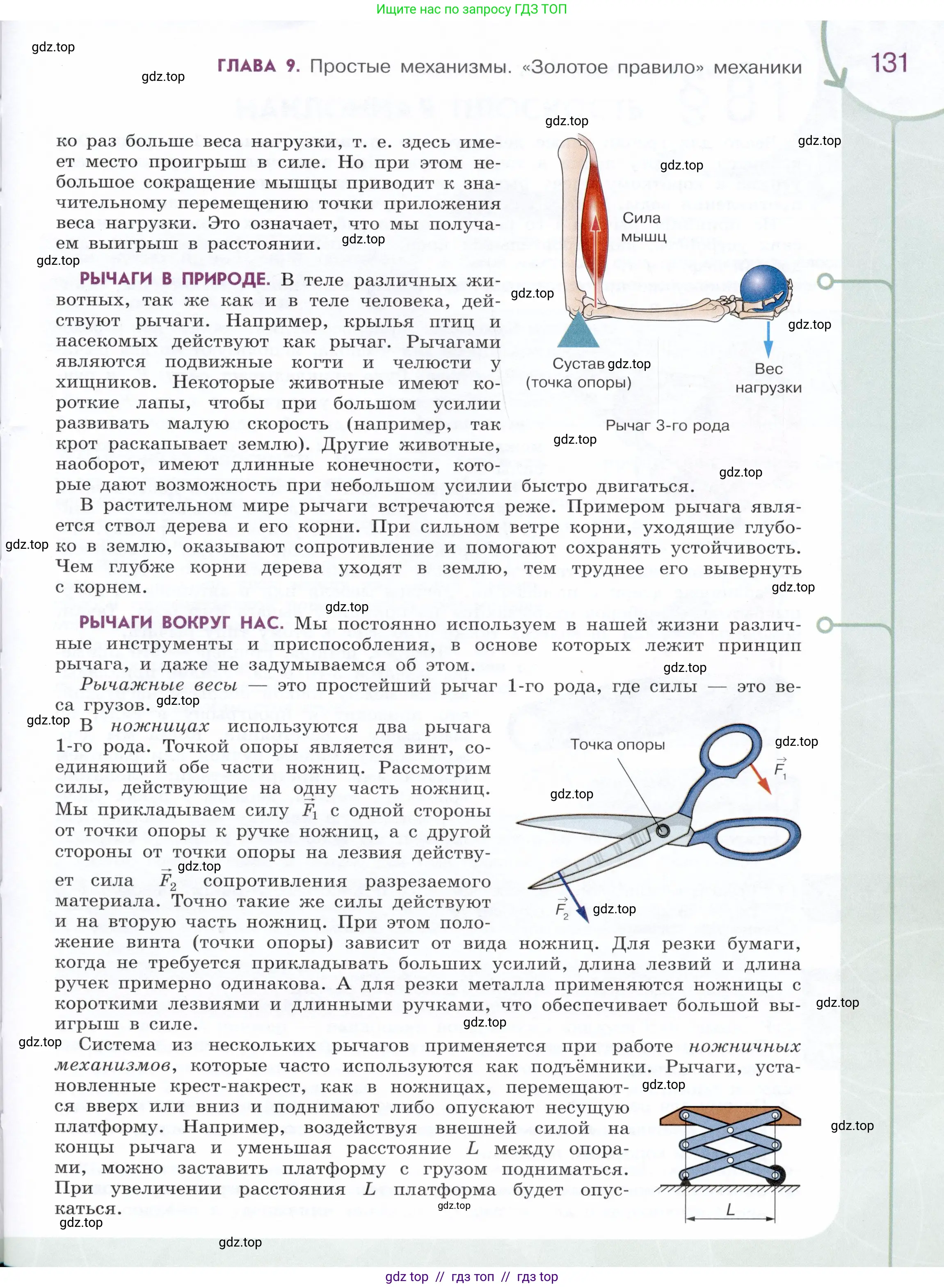Физика, 7 класс Учебник, авторы: Белага Виктория Владимировна, Воронцова Наталия Игоревна, Ломаченков Иван Алексеевич, Панебратцев Юрий Анатольевич, издательство Просвещение, Москва, 2024, страница 131