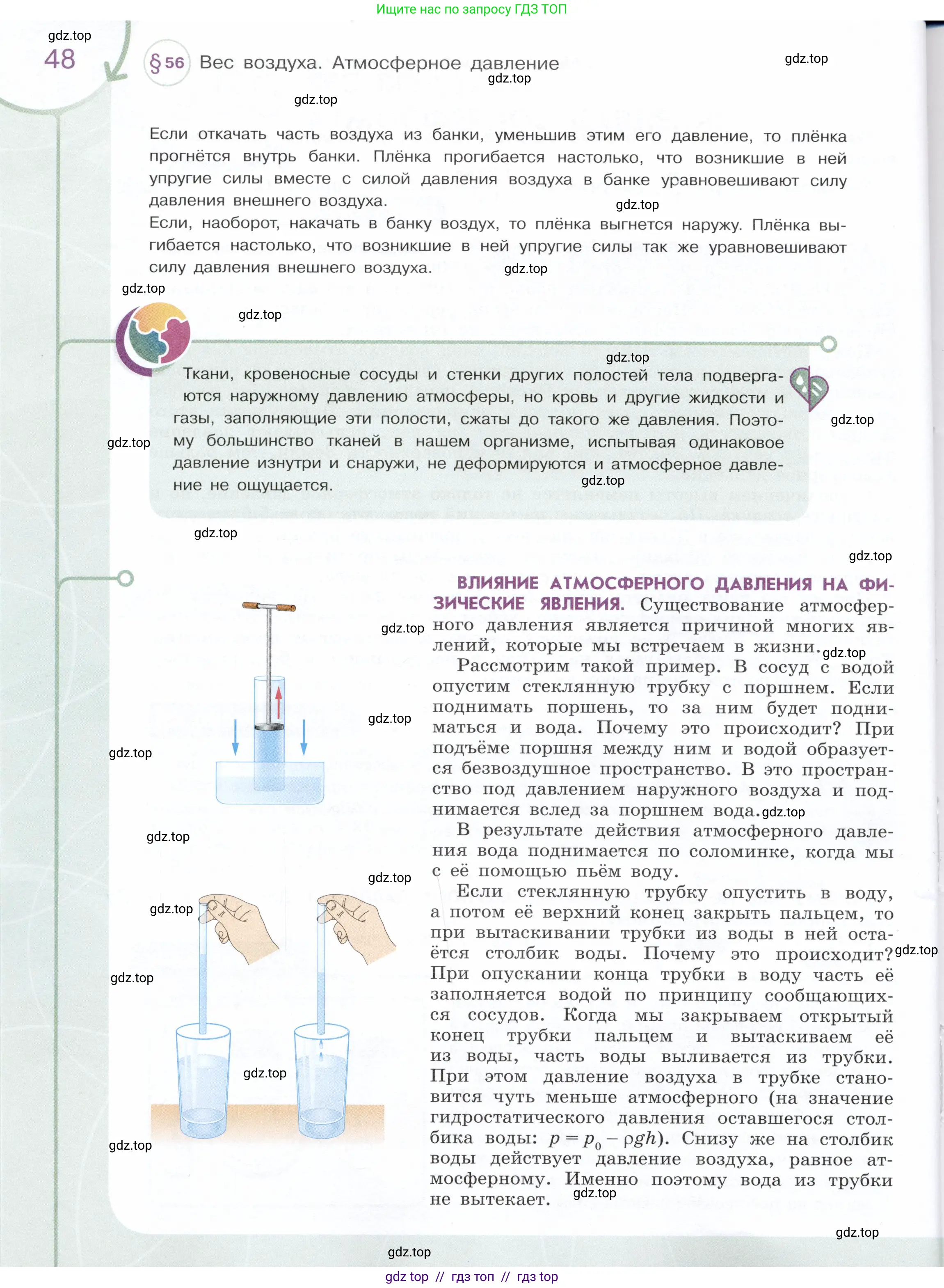 Физика, 7 класс Учебник, авторы: Белага Виктория Владимировна, Воронцова Наталия Игоревна, Ломаченков Иван Алексеевич, Панебратцев Юрий Анатольевич, издательство Просвещение, Москва, 2024, страница 48