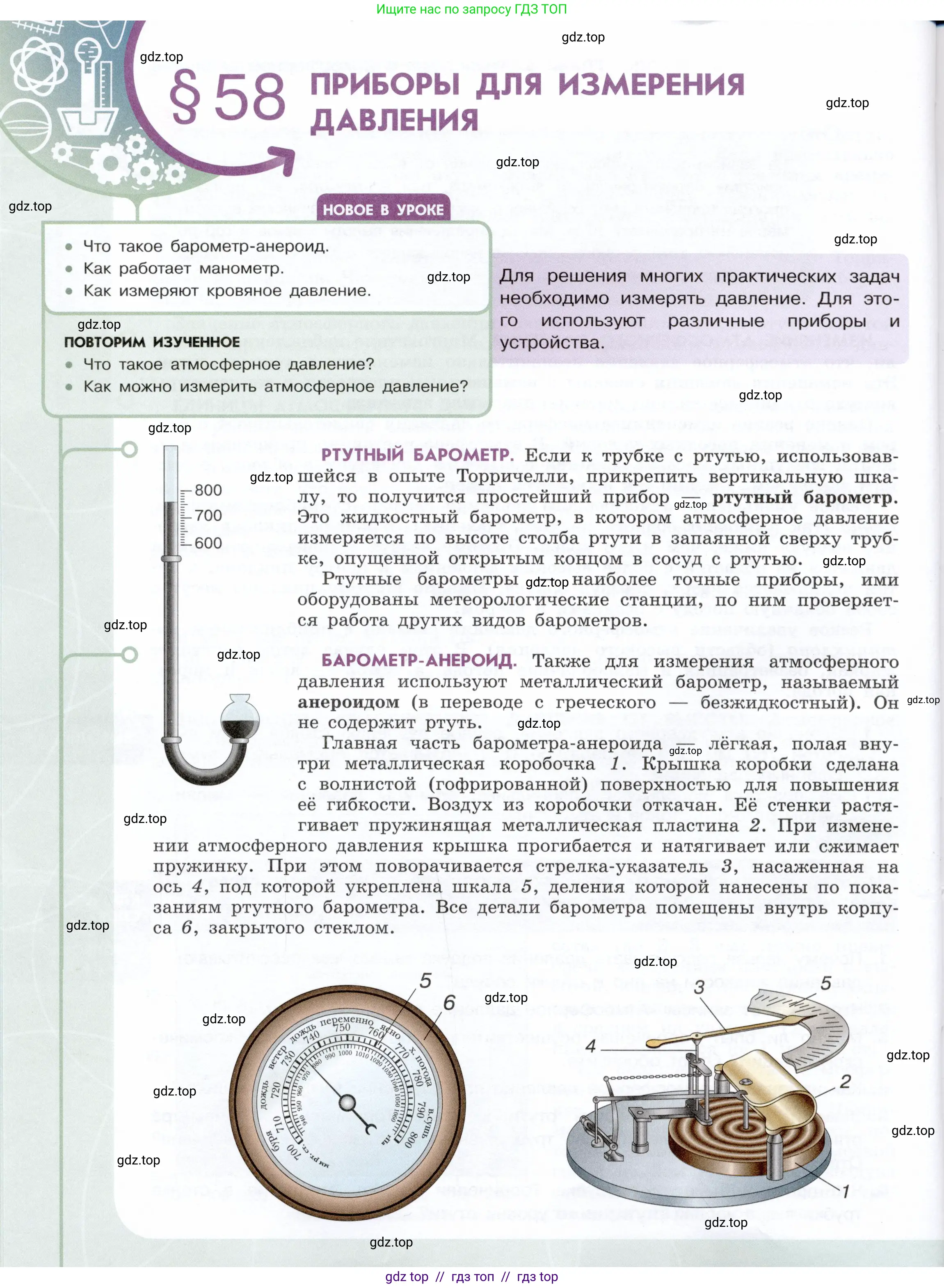 Физика, 7 класс Учебник, авторы: Белага Виктория Владимировна, Воронцова Наталия Игоревна, Ломаченков Иван Алексеевич, Панебратцев Юрий Анатольевич, издательство Просвещение, Москва, 2024, Часть 2, страница 54