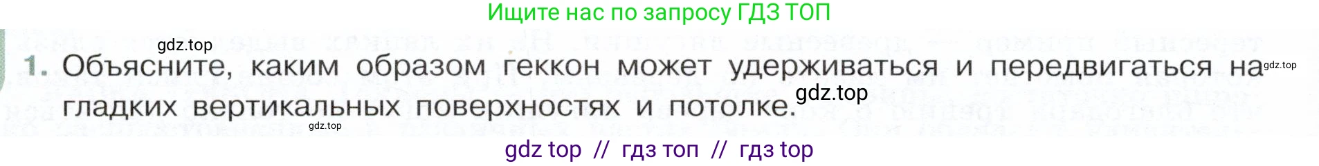 Физика, 7 класс Учебник, авторы: Белага Виктория Владимировна, Воронцова Наталия Игоревна, Ломаченков Иван Алексеевич, Панебратцев Юрий Анатольевич, издательство Просвещение, Москва, 2024, Часть 1, страница 142, номер 1, Условие
