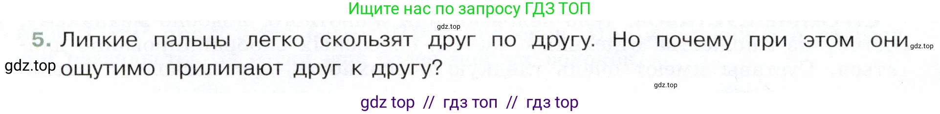 Физика, 7 класс Учебник, авторы: Белага Виктория Владимировна, Воронцова Наталия Игоревна, Ломаченков Иван Алексеевич, Панебратцев Юрий Анатольевич, издательство Просвещение, Москва, 2024, Часть 1, страница 142, номер 5, Условие