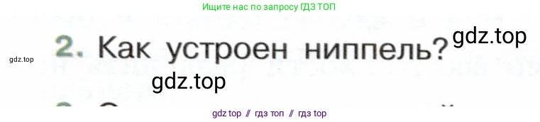 Физика, 7 класс Учебник, авторы: Белага Виктория Владимировна, Воронцова Наталия Игоревна, Ломаченков Иван Алексеевич, Панебратцев Юрий Анатольевич, издательство Просвещение, Москва, 2024, Часть 2, страница 21, номер 2, Условие