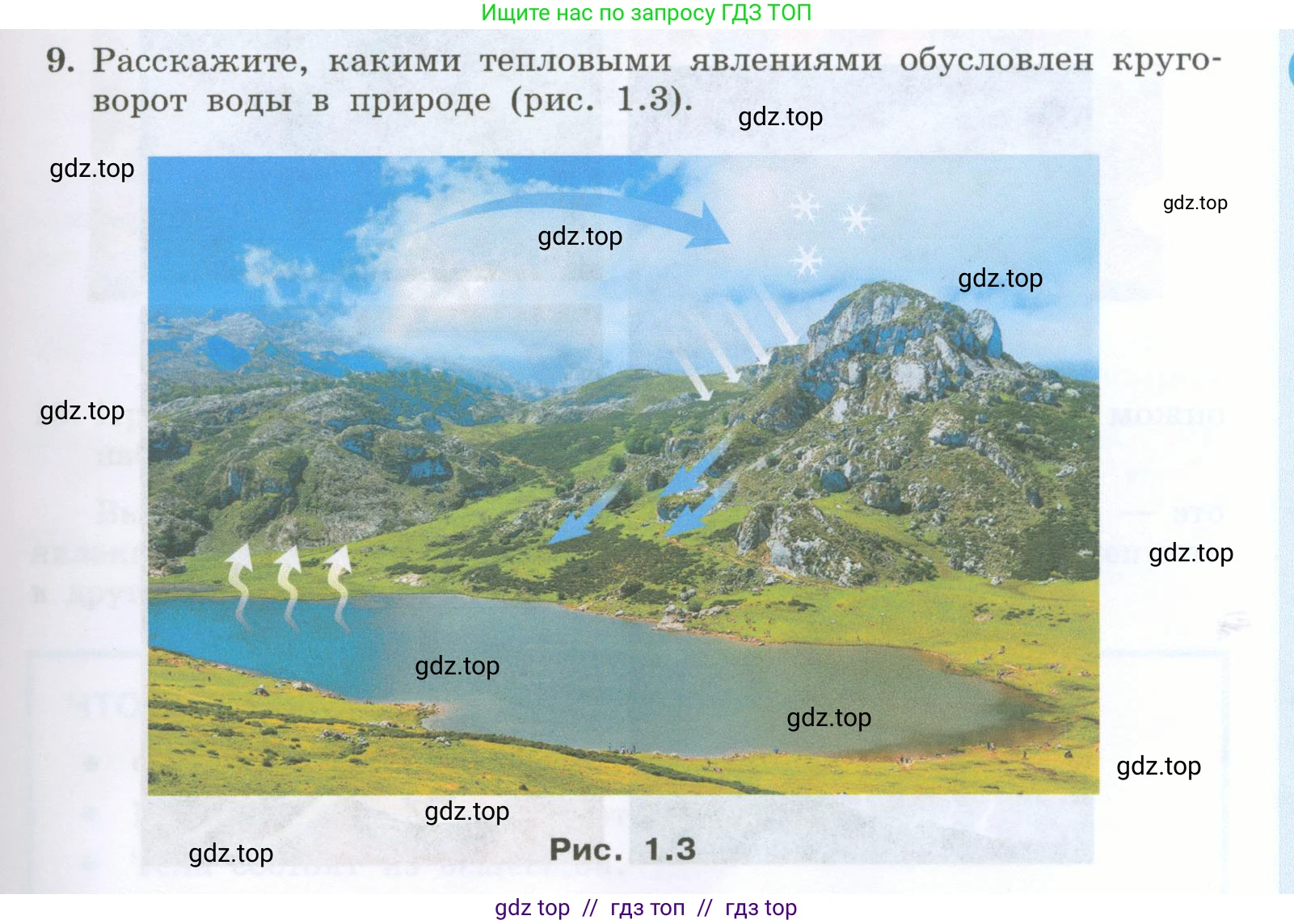 Физика, 7 класс Учебник, авторы: Генденштейн Лев Элевич, Булатова Альбина Александрова, Корнильев Игорь Николаевич, Кошкина Анжелика Васильевна, издательство Просвещение, Москва, 2019, бирюзового цвета, Часть 1, страница 9, номер 9, Условие