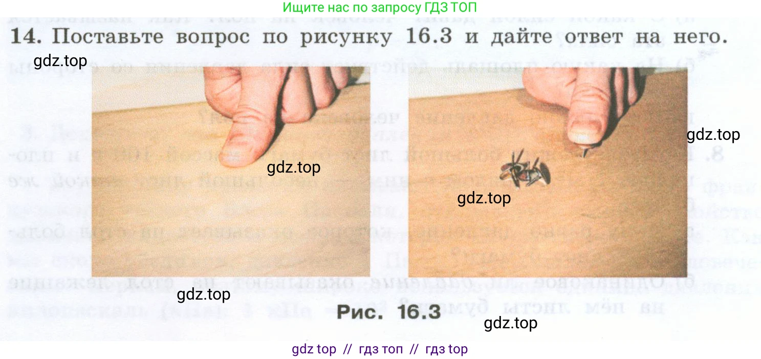 Физика, 7 класс Учебник, авторы: Генденштейн Лев Элевич, Булатова Альбина Александрова, Корнильев Игорь Николаевич, Кошкина Анжелика Васильевна, издательство Просвещение, Москва, 2019, бирюзового цвета, Часть 2, страница 6, номер 14, Условие