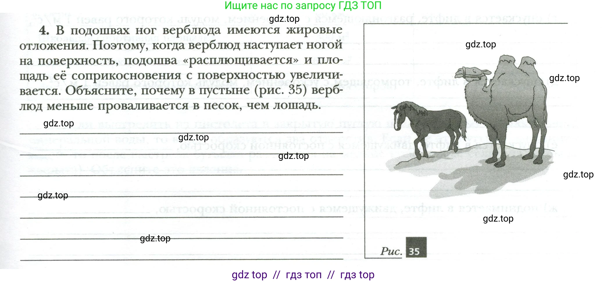Физика, 7 класс рабочая тетрадь, авторы: Грачев Александр Васильевич, Погожев Владимир Александрович, Боков Павел Юрьевич, Вишнякова Екатерина Анатольевна, издательство Просвещение, Москва, 2008, Часть 2, страница 47, номер 4, Условие