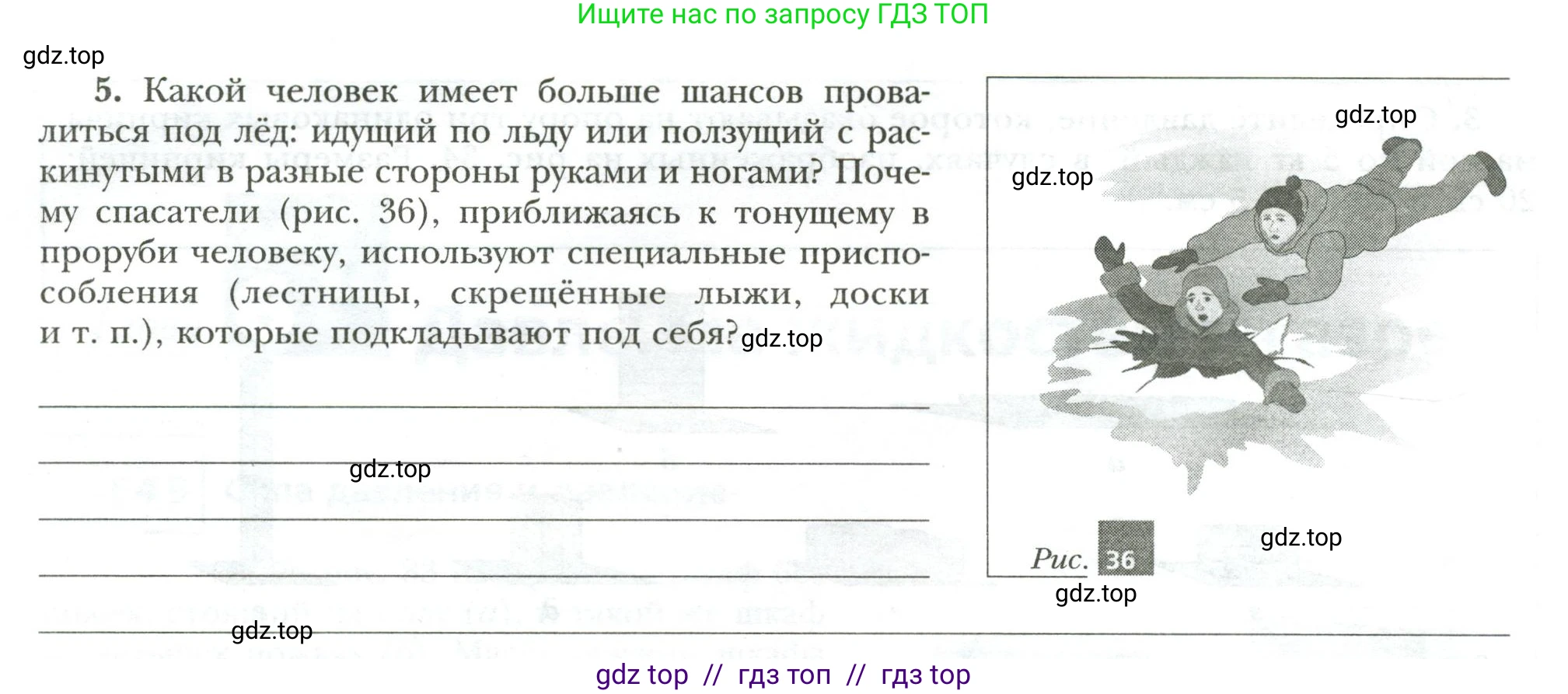 Физика, 7 класс рабочая тетрадь, авторы: Грачев Александр Васильевич, Погожев Владимир Александрович, Боков Павел Юрьевич, Вишнякова Екатерина Анатольевна, издательство Просвещение, Москва, 2008, Часть 2, страница 48, номер 5, Условие