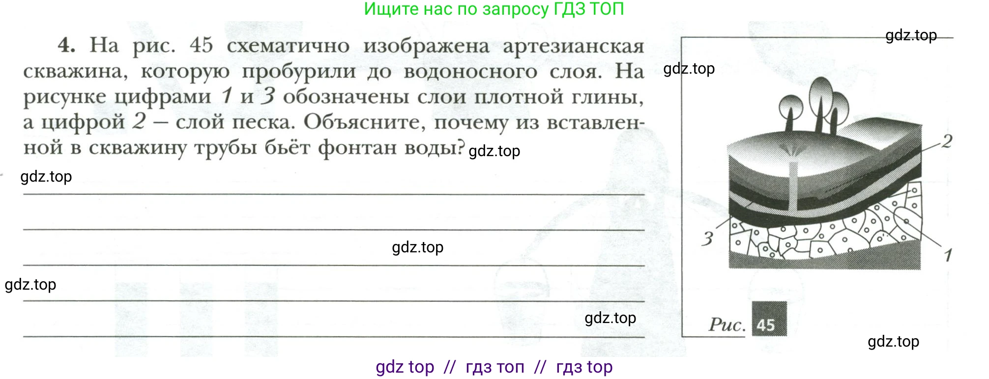 Физика, 7 класс рабочая тетрадь, авторы: Грачев Александр Васильевич, Погожев Владимир Александрович, Боков Павел Юрьевич, Вишнякова Екатерина Анатольевна, издательство Просвещение, Москва, 2008, Часть 2, страница 56, номер 4, Условие