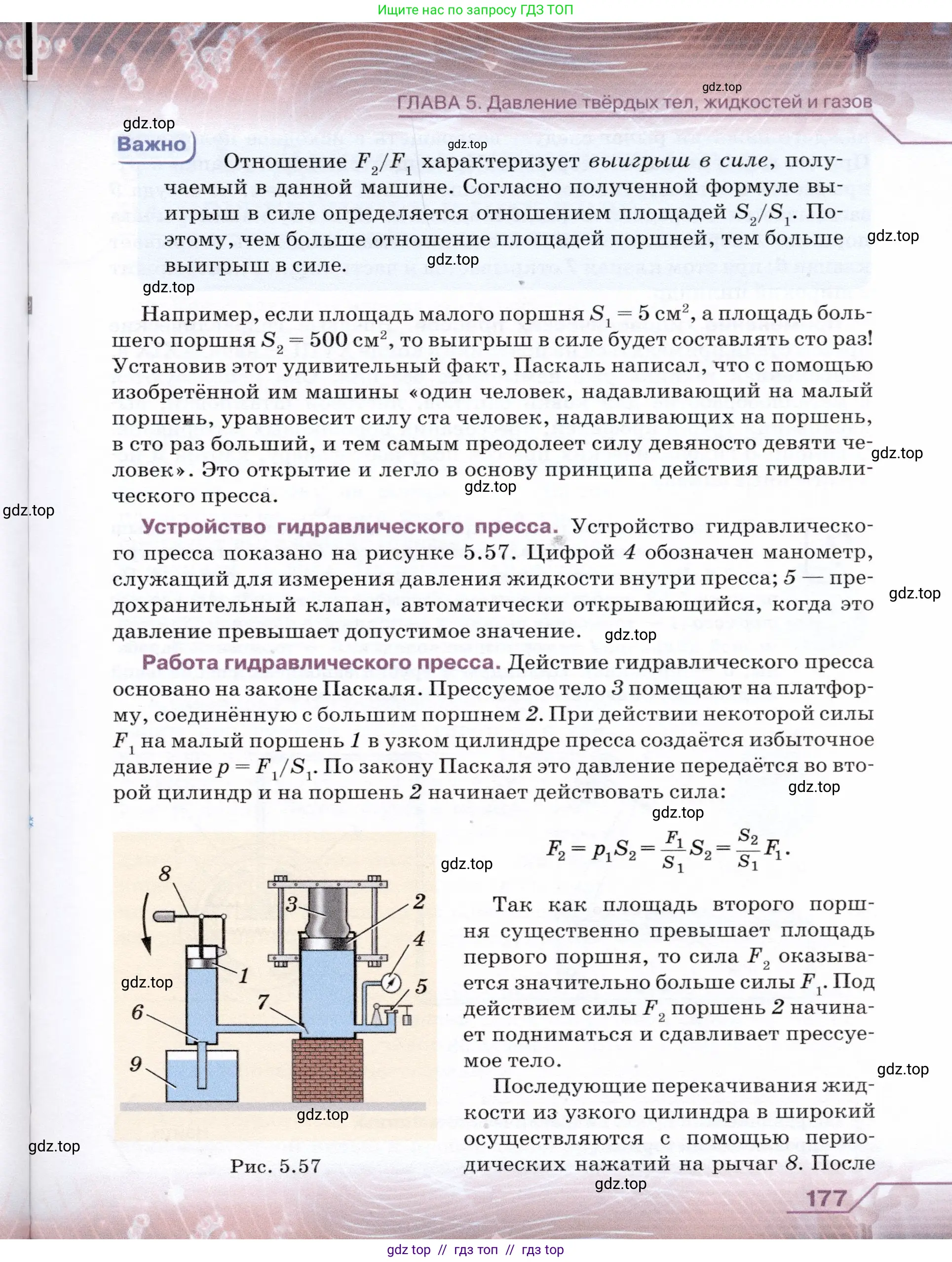 Физика, 7 класс Учебник, авторы: Громов Сергей Васильевич, Родина Надежда Александровна, Белага Виктория Владимировна, Ломаченков Иван Алексеевич, Панебратцев Юрий Анатольевич, издательство Просвещение, Москва, 2019, страница 177