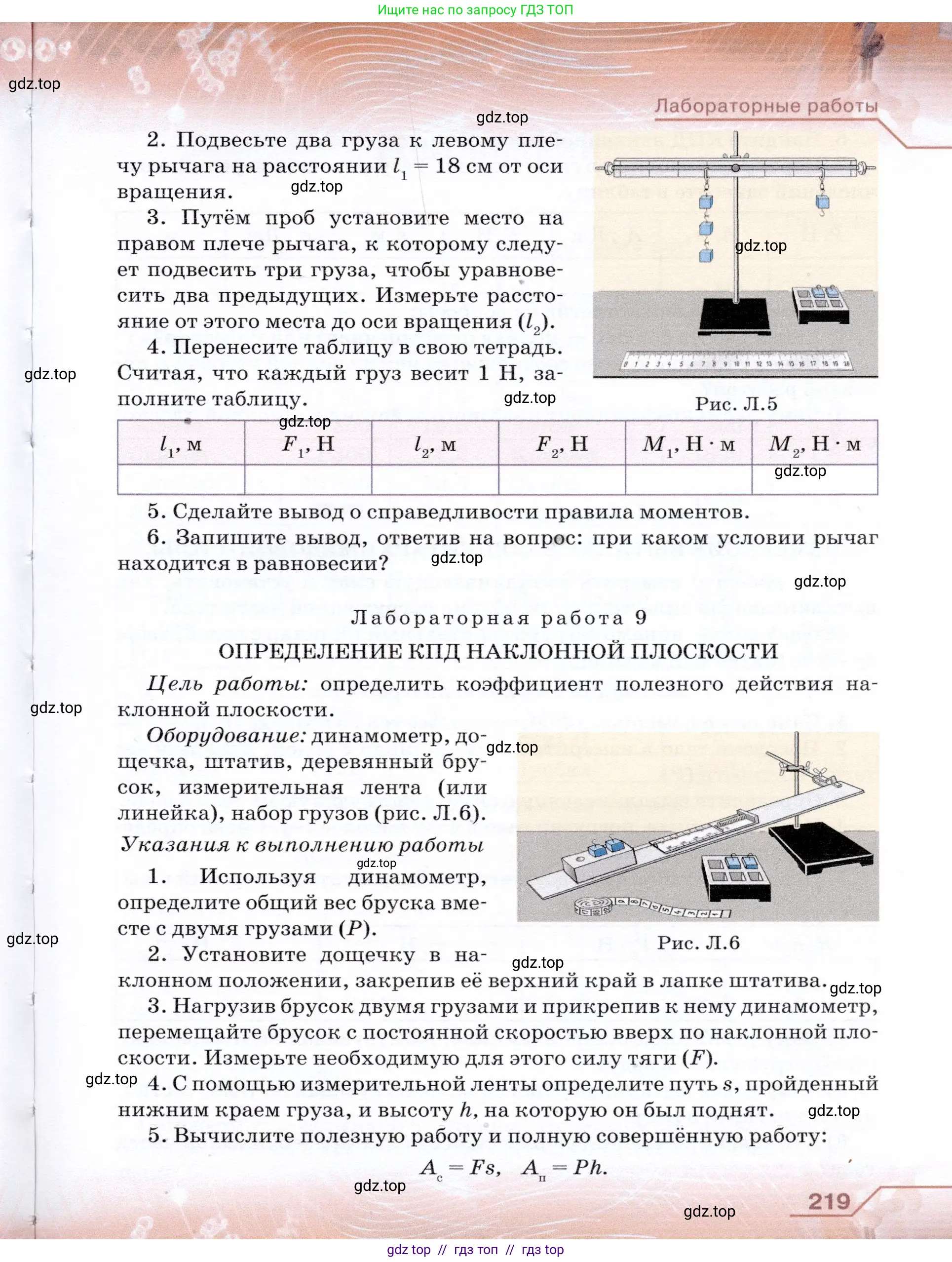 Физика, 7 класс Учебник, авторы: Громов Сергей Васильевич, Родина Надежда Александровна, Белага Виктория Владимировна, Ломаченков Иван Алексеевич, Панебратцев Юрий Анатольевич, издательство Просвещение, Москва, 2019, страница 219