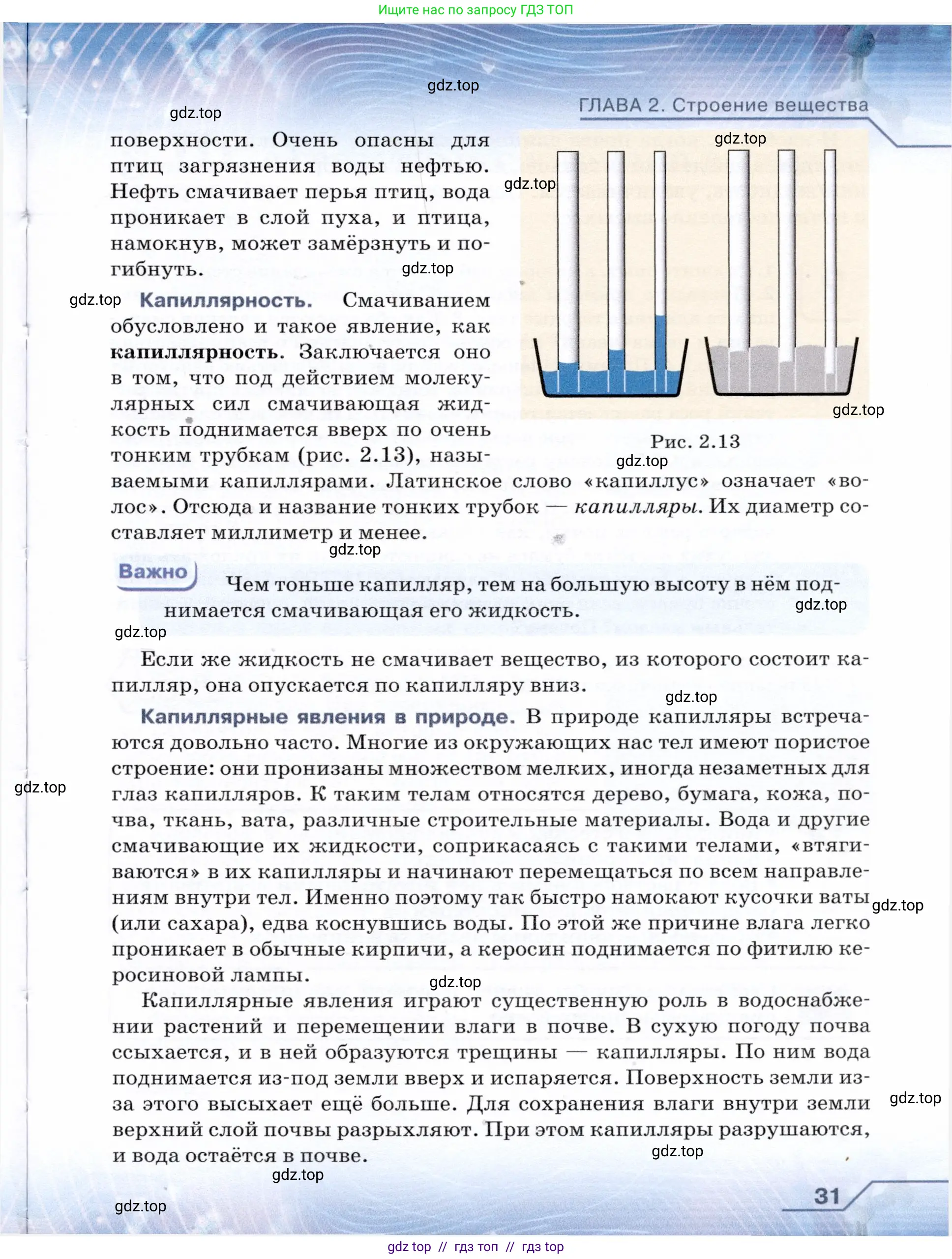 Физика, 7 класс Учебник, авторы: Громов Сергей Васильевич, Родина Надежда Александровна, Белага Виктория Владимировна, Ломаченков Иван Алексеевич, Панебратцев Юрий Анатольевич, издательство Просвещение, Москва, 2019, страница 31