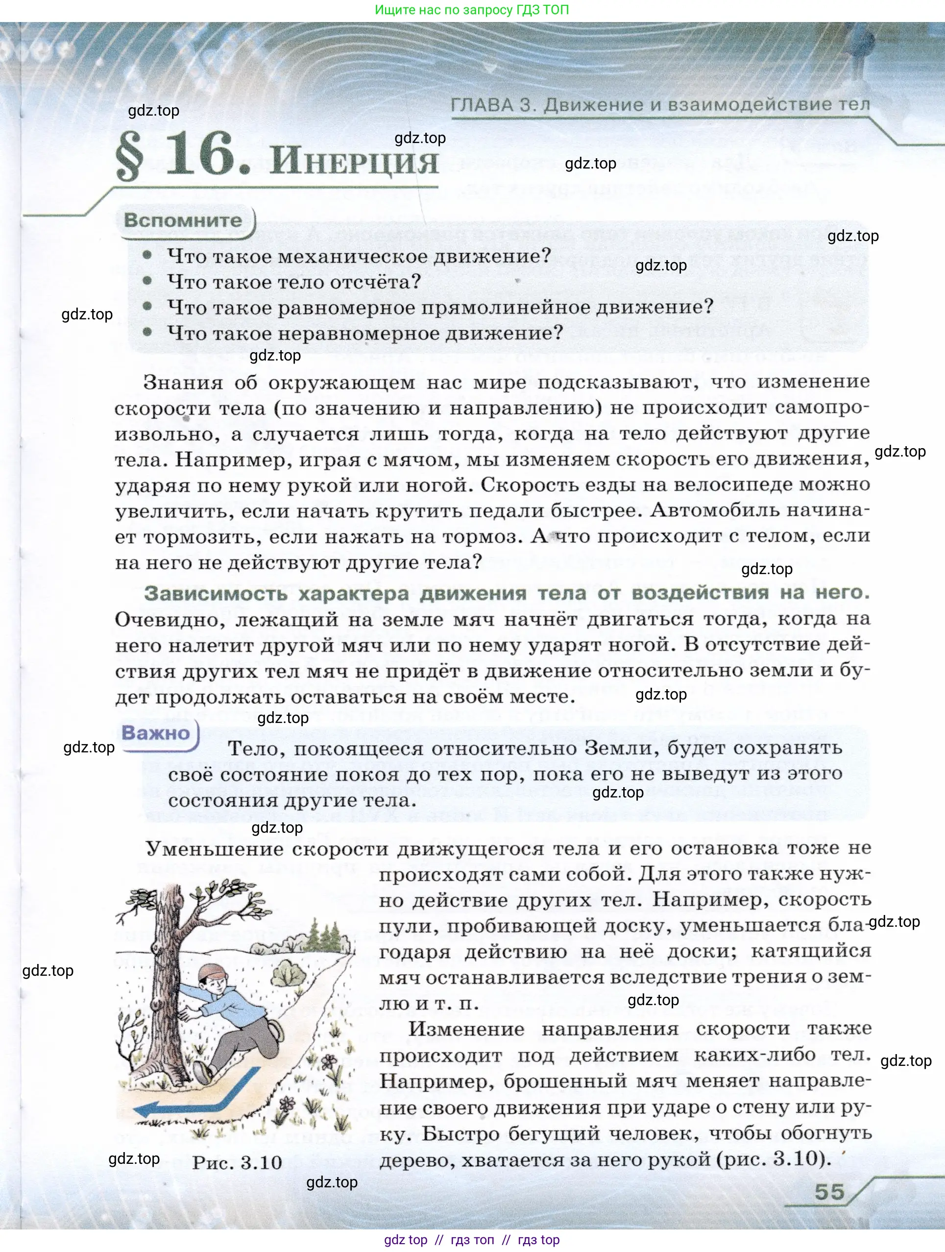 Физика, 7 класс Учебник, авторы: Громов Сергей Васильевич, Родина Надежда Александровна, Белага Виктория Владимировна, Ломаченков Иван Алексеевич, Панебратцев Юрий Анатольевич, издательство Просвещение, Москва, 2019, страница 55