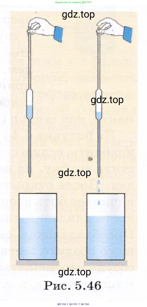 Физика, 7 класс Учебник, авторы: Громов Сергей Васильевич, Родина Надежда Александровна, Белага Виктория Владимировна, Ломаченков Иван Алексеевич, Панебратцев Юрий Анатольевич, издательство Просвещение, Москва, 2019, страница 164, номер 8, Условие (продолжение 2)