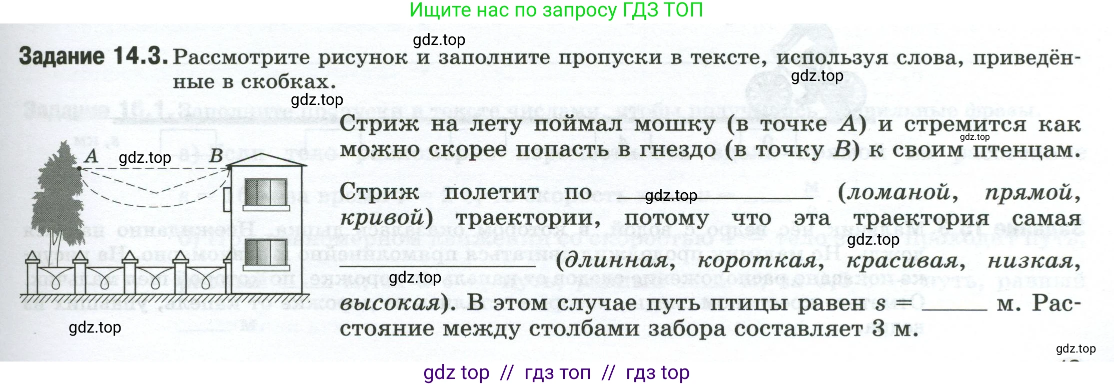 Физика, 7 класс рабочая тетрадь, авторы: Ханнанова Татьяна Андреевна, Ханнанов Наиль Кутдусович, издательство Просвещение, Москва, 2022, белого цвета, страница 19, номер 14.3, Условие