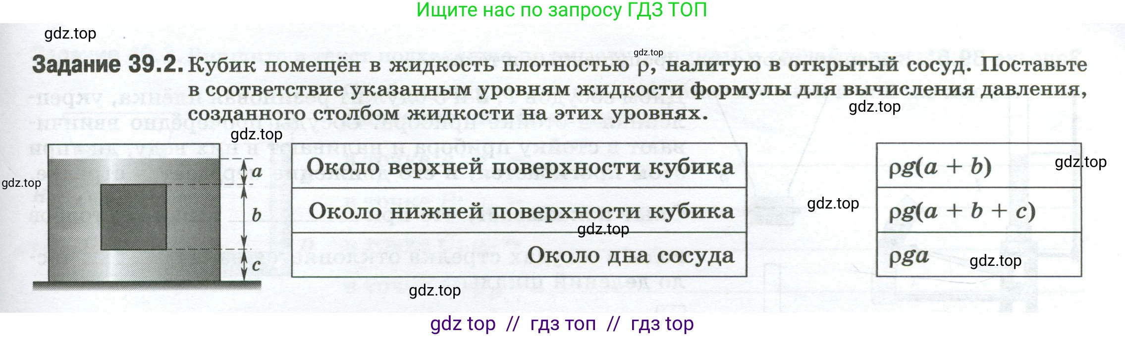 Физика, 7 класс рабочая тетрадь, авторы: Ханнанова Татьяна Андреевна, Ханнанов Наиль Кутдусович, издательство Просвещение, Москва, 2022, белого цвета, страница 61, номер 39.2, Условие