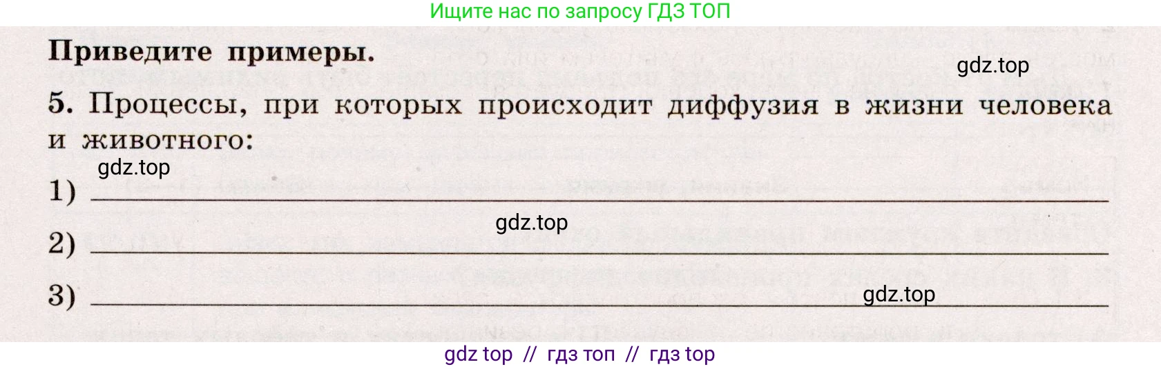 Физика, 7 класс Тренажёр, автор: Хмельницкая Алевтина Юрьевна, издательство Просвещение, Москва, 2020, серого цвета, страница 19, номер 5, Условие