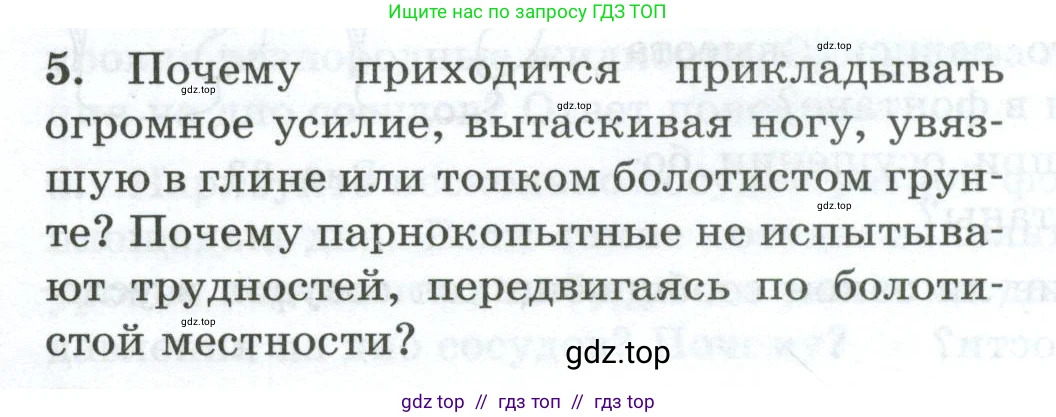 Физика, 7 класс Дидактические материалы, авторы: Марон Абрам Евсеевич, Марон Евгений Абрамович, издательство Просвещение, Москва, 2022, белого цвета, страница 28, номер 5, Условие