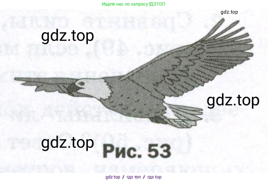 Физика, 7 класс Самостоятельные и контрольные работы, авторы: Марон Абрам Евсеевич, Марон Евгений Абрамович, издательство Просвещение, Москва, 2022, белого цвета, страница 36, номер 3, Условие (продолжение 2)
