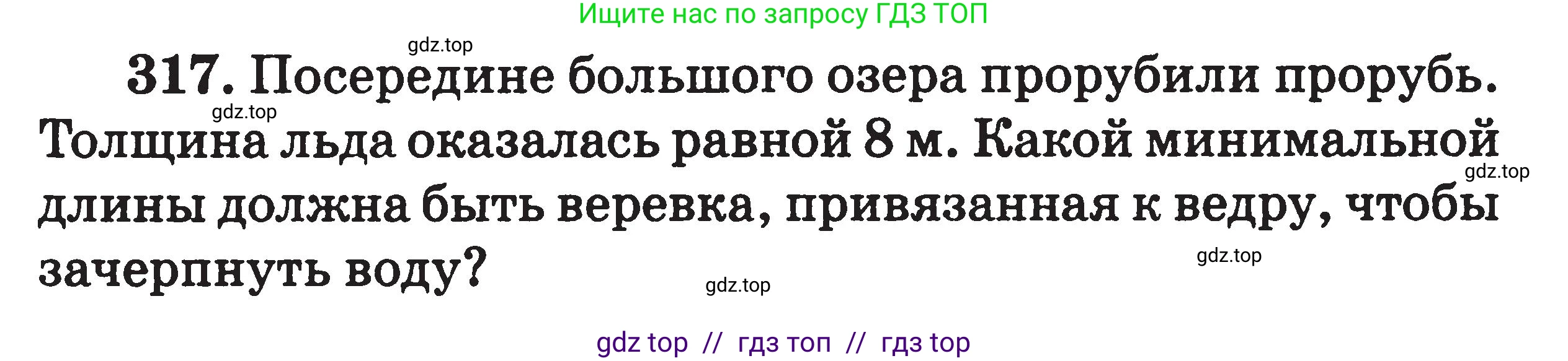 Физика, 7-9 класс Сборник задач, авторы: Московкина Елена Геннадьевна, Волков Владимир Анатольевич, издательство ВАКО, Москва, 2011, страница 39, номер 317, Условие