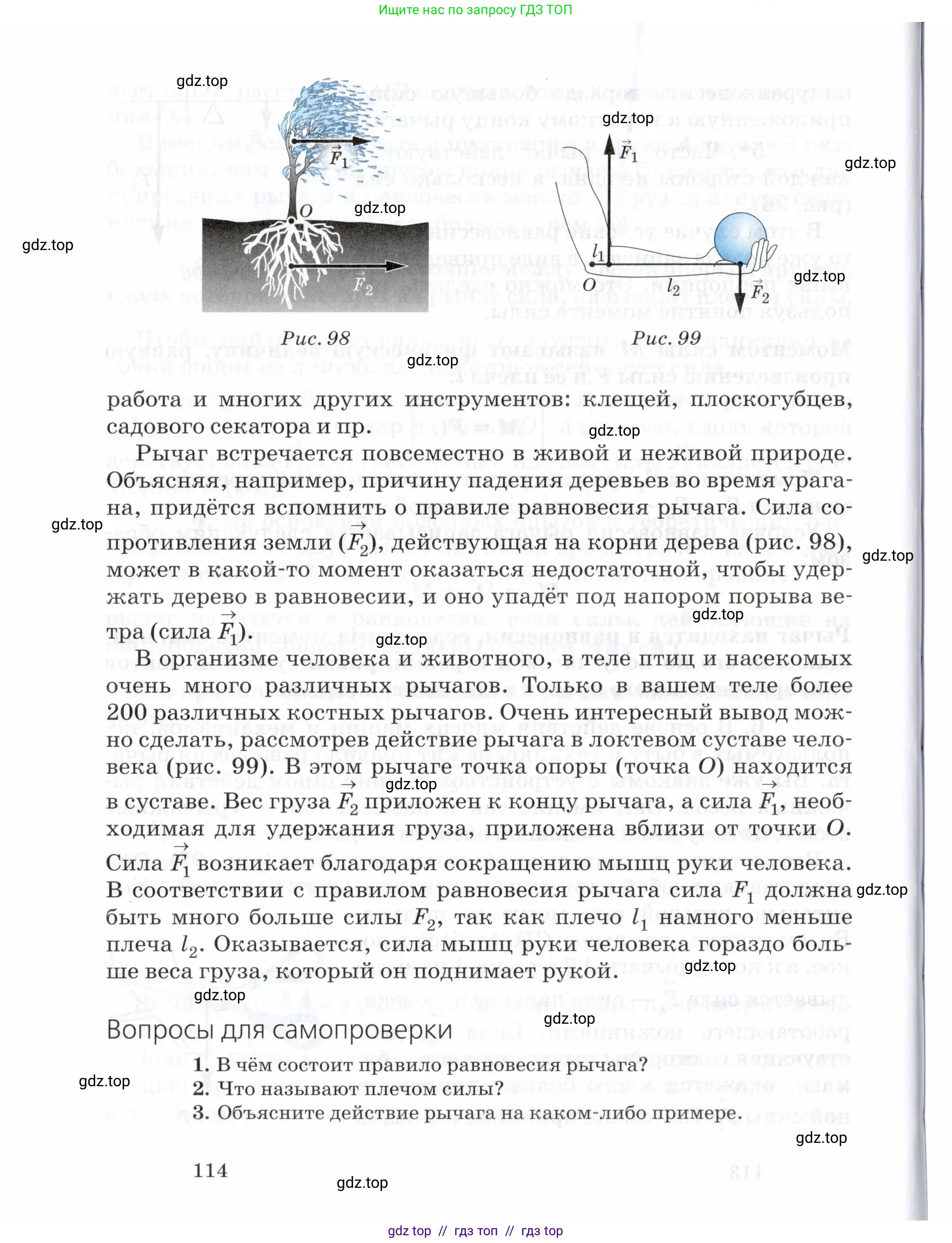 Физика, 7 класс Учебник, авторы: Пурышева Наталия Сергеевна, Важеевская Наталия Евгеньевна, издательство Просвещение, Москва, 2013, белого цвета, страница 114