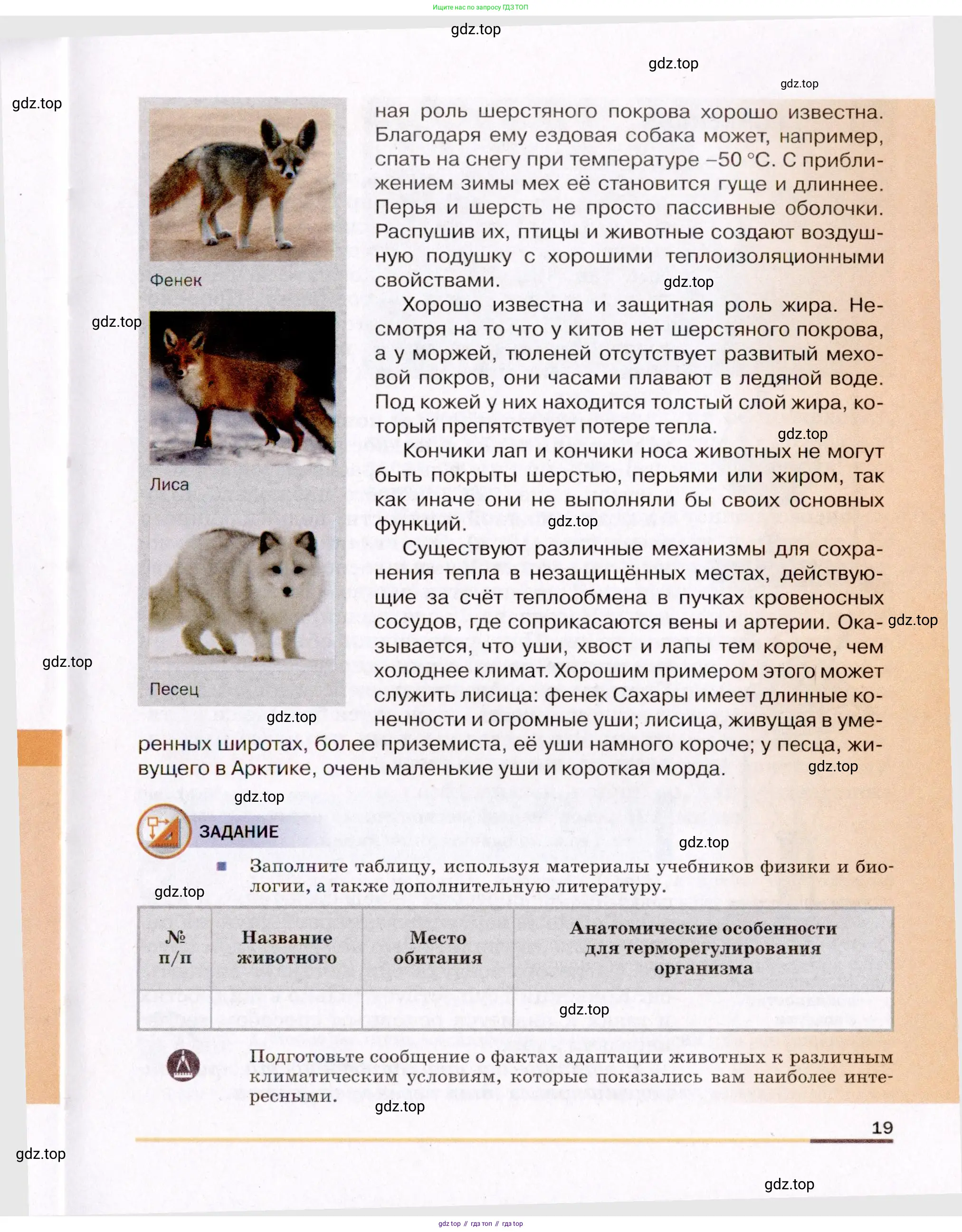 Физика, 8 класс Учебник, авторы: Пёрышкин И М, Иванов Александр Иванович, издательство Просвещение, Москва, 2021 - 2022, белого цвета, страница 19