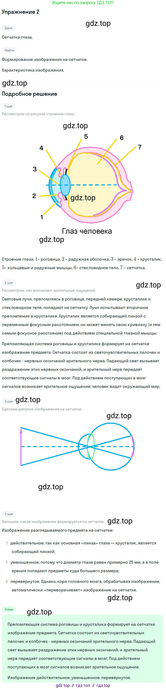 ГДЗ Физика, 8 класс Учебник, авторы: Пёрышкин И М, Иванов Александр Иванович, издательство Просвещение, Москва, 2021 - 2022, белого цвета, страница 223, номер 2, Решение