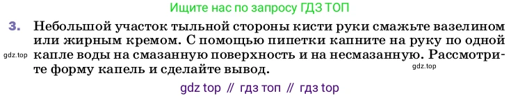 ГДЗ Физика, 8 класс Учебник, автор: Пёрышкин И М, издательство Просвещение, Москва, 2023, белого цвета, страница 13, номер 3, Условие