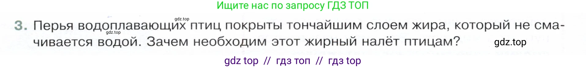 Физика, 8 класс Учебник, авторы: Белага Виктория Владимировна, Воронцова Наталия Игоревна, Ломаченков Иван Алексеевич, Панебратцев Юрий Анатольевич, издательство Просвещение, Москва, 2024, бирюзового цвета, Часть 1, страница 24, номер 3, Условие