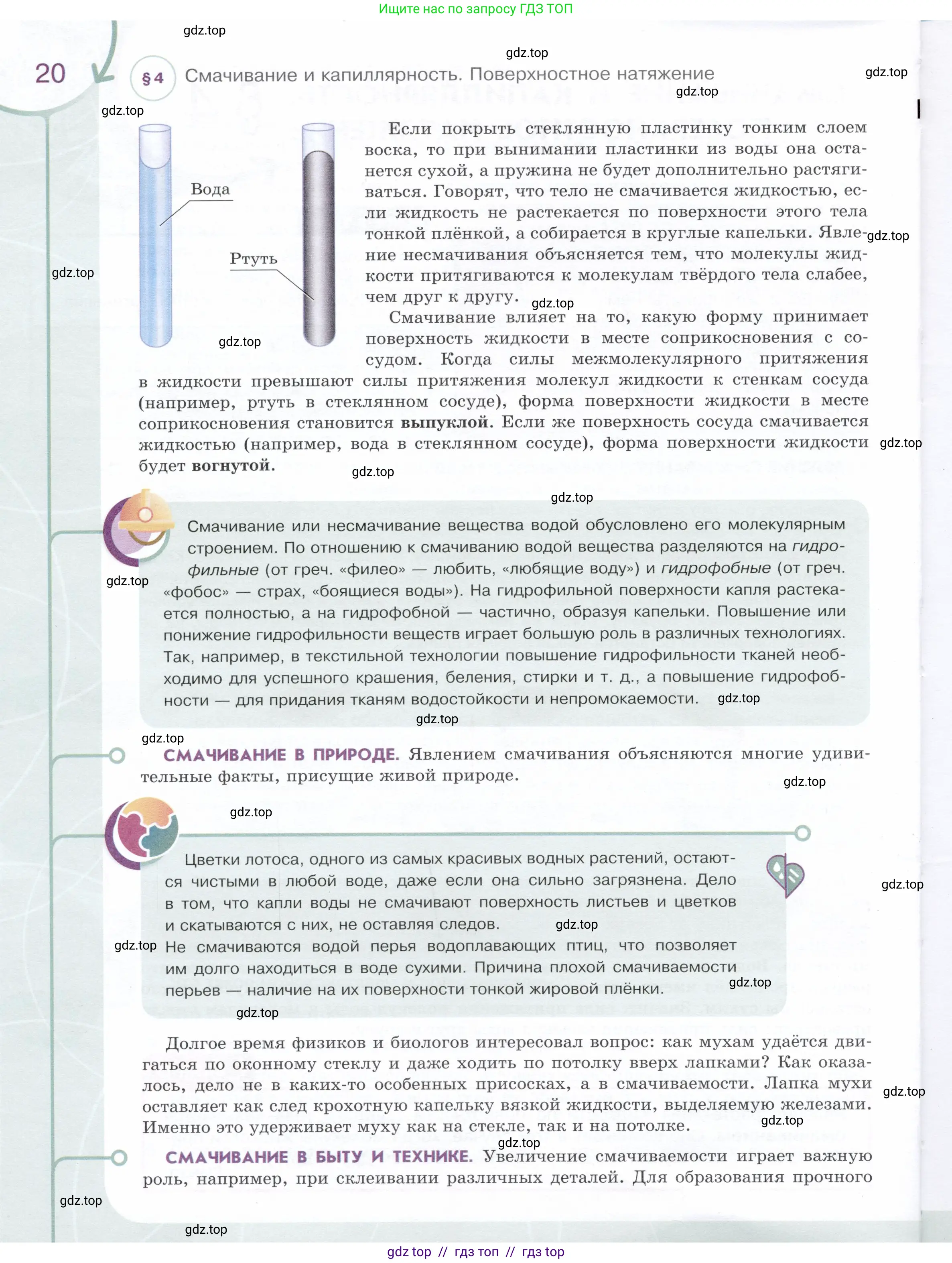 Физика, 8 класс Учебник, авторы: Белага Виктория Владимировна, Воронцова Наталия Игоревна, Ломаченков Иван Алексеевич, Панебратцев Юрий Анатольевич, издательство Просвещение, Москва, 2024, бирюзового цвета, страница 20