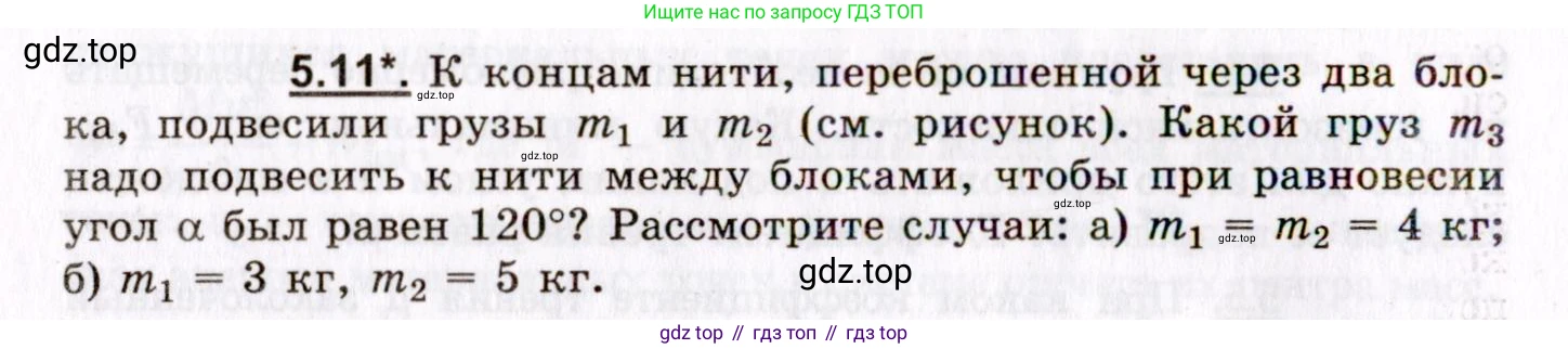 ГДЗ Физика, 8-11 класс Учебник, задачник, авторы: Гельфгат Илья Маркович, Генденштейн Лев Элевич, Кирик Леонид Анатольевич, издательство Илекса, Москва, 2005, страница 28, номер 5.11, Условие