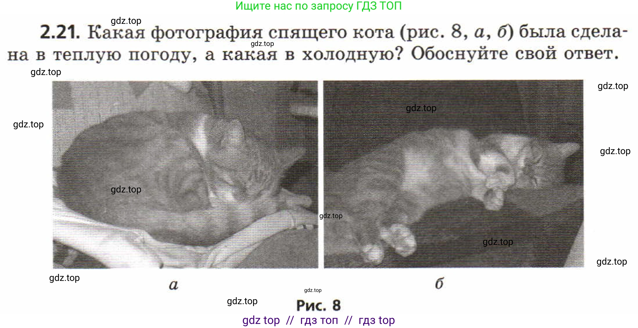 Физика, 8 класс Задачник, авторы: Генденштейн Лев Элевич, Кирик Леонид Анатольевич, Гельфгат Илья Маркович, издательство Мнемозина, Москва, 2009, салатового цвета, страница 10, номер 2.21, Условие