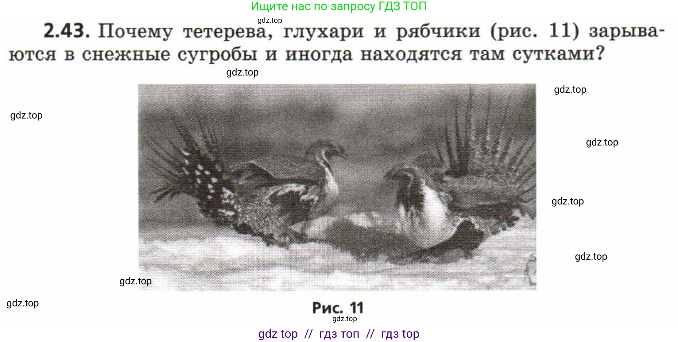 Физика, 8 класс Задачник, авторы: Генденштейн Лев Элевич, Кирик Леонид Анатольевич, Гельфгат Илья Маркович, издательство Мнемозина, Москва, 2009, салатового цвета, страница 12, номер 2.43, Условие
