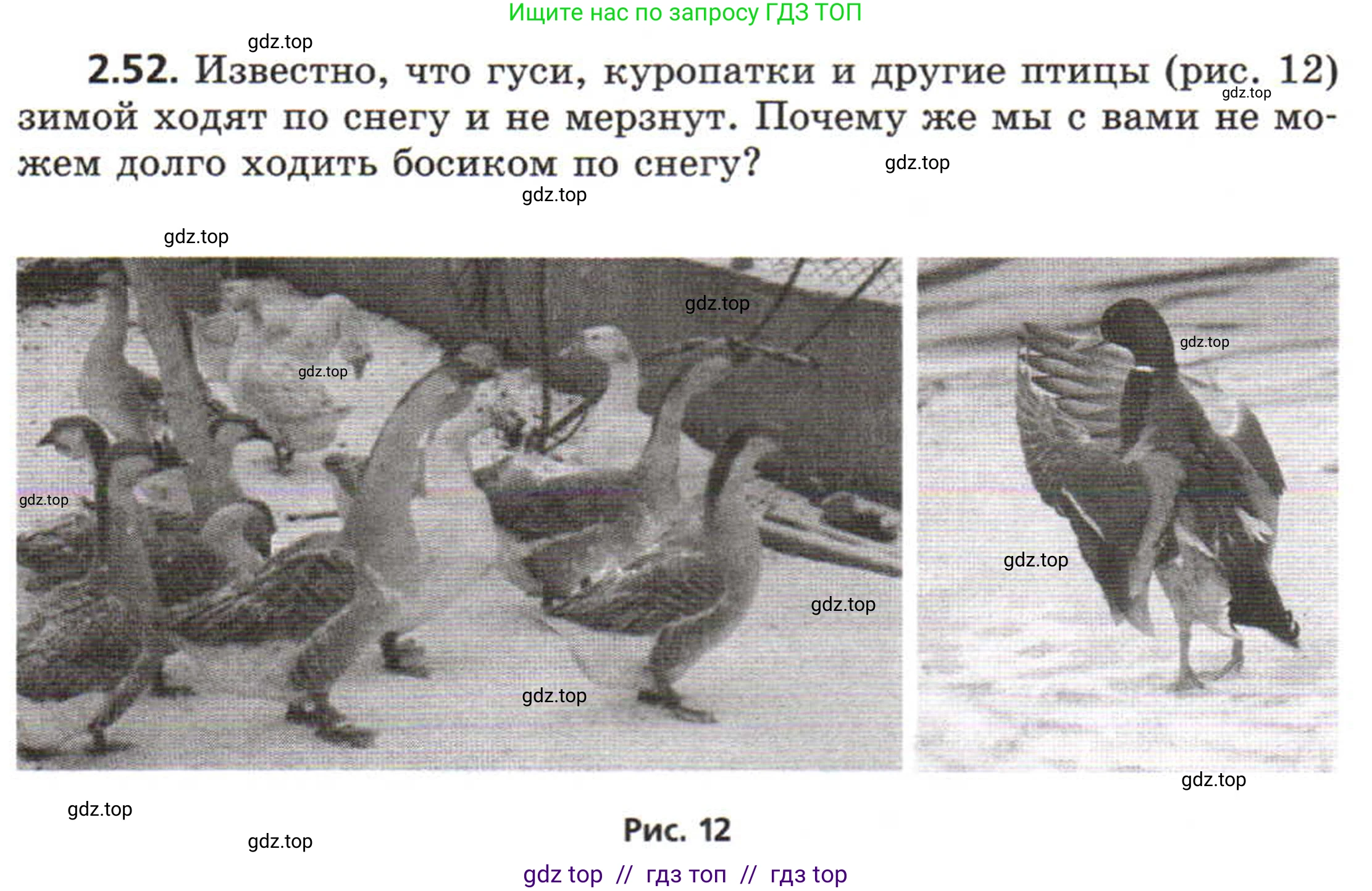 Физика, 8 класс Задачник, авторы: Генденштейн Лев Элевич, Кирик Леонид Анатольевич, Гельфгат Илья Маркович, издательство Мнемозина, Москва, 2009, салатового цвета, страница 13, номер 2.52, Условие