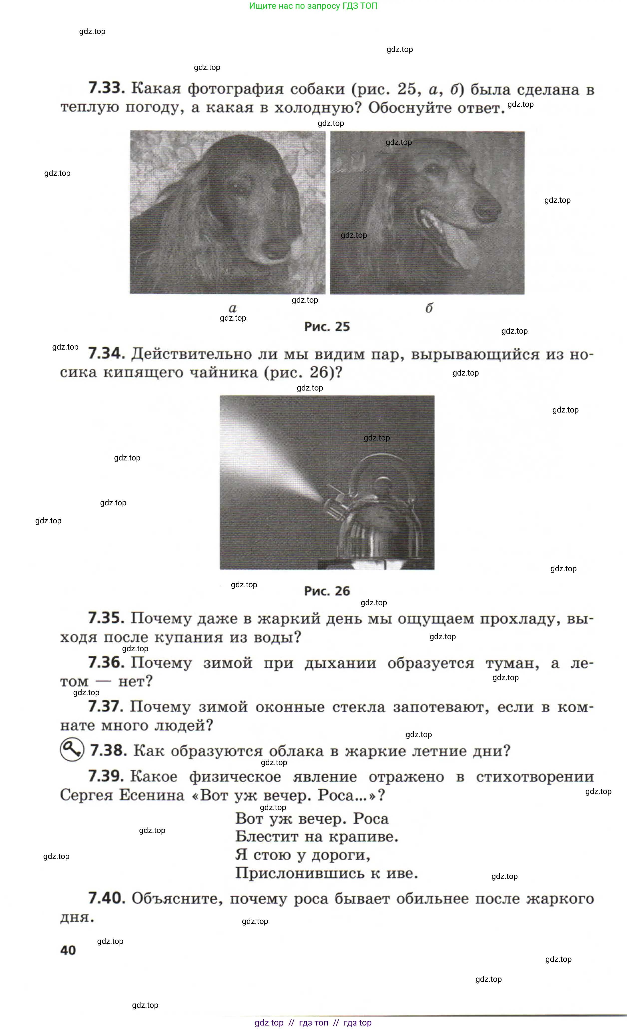 Физика, 8 класс Задачник, авторы: Генденштейн Лев Элевич, Кирик Леонид Анатольевич, Гельфгат Илья Маркович, издательство Мнемозина, Москва, 2009, салатового цвета, страница 40