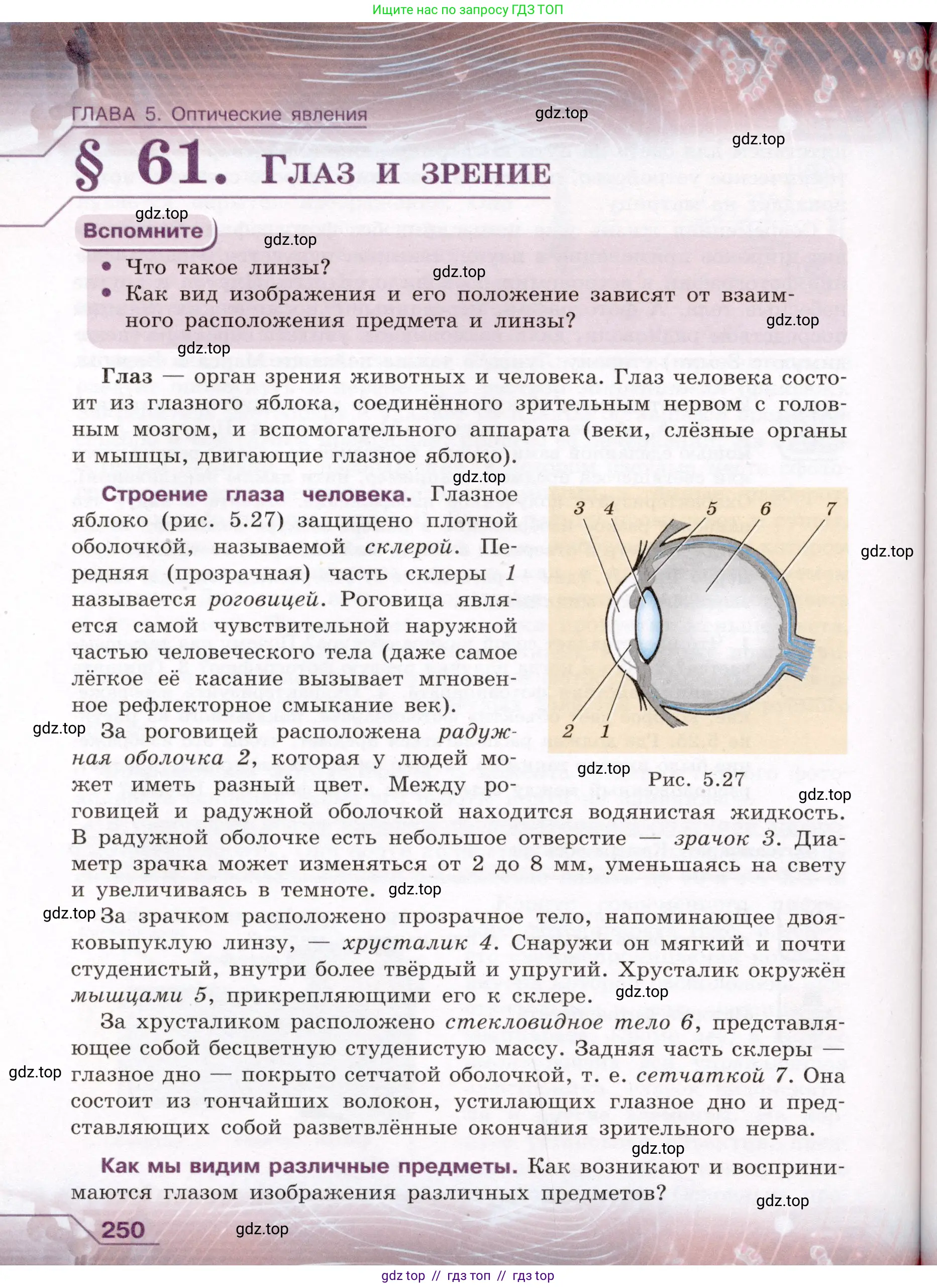 Физика, 8 класс Учебник, авторы: Громов Сергей Васильевич, Родина Надежда Александровна, Белага Виктория Владимировна, Ломаченков Иван Алексеевич, Панебратцев Юрий Анатольевич, издательство Просвещение, Москва, 2018, страница 250