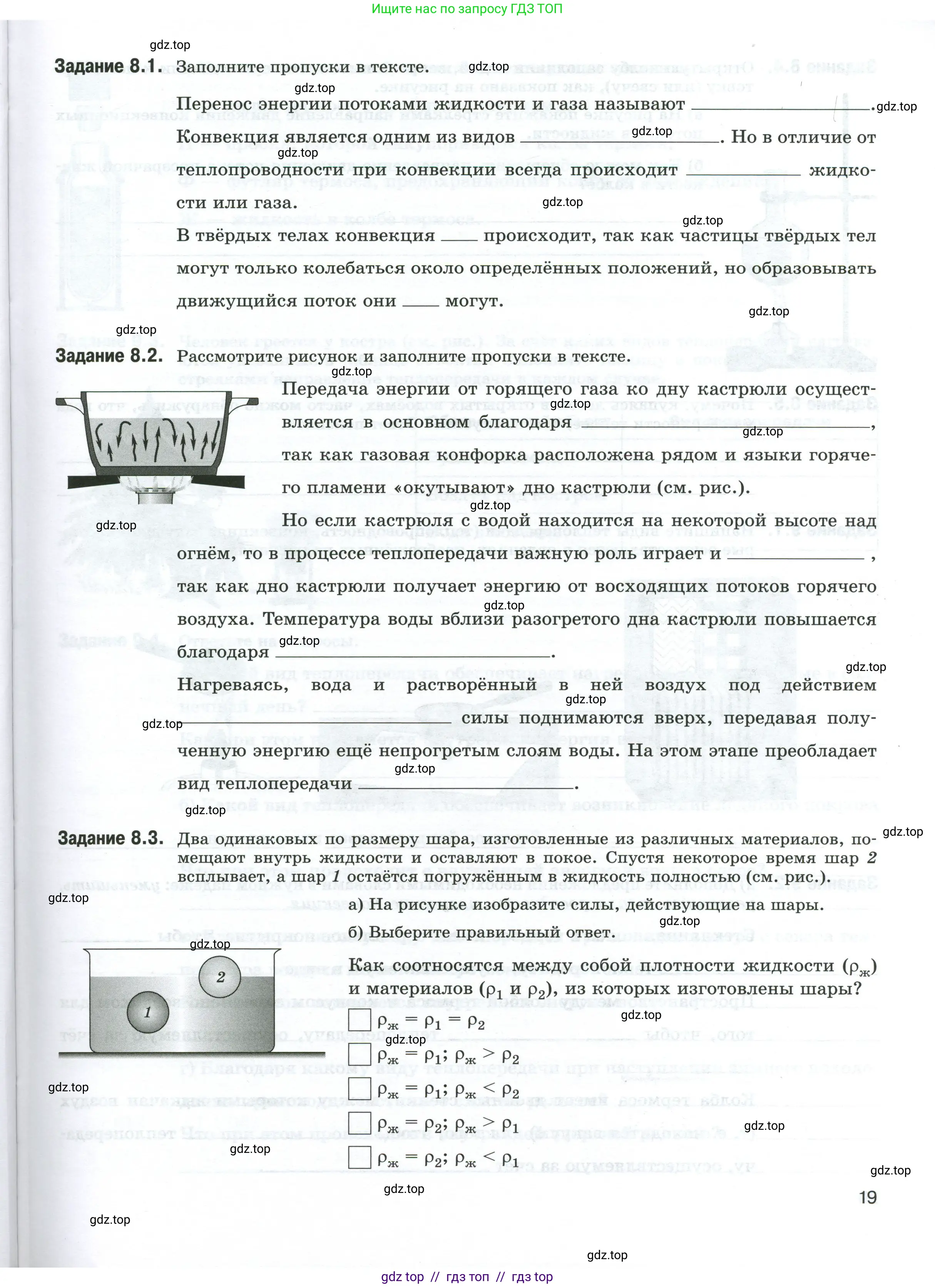 Физика, 8 класс рабочая тетрадь, автор: Ханнанова Татьяна Андреевна, издательство Просвещение, Москва, 2022, белого цвета, страница 19