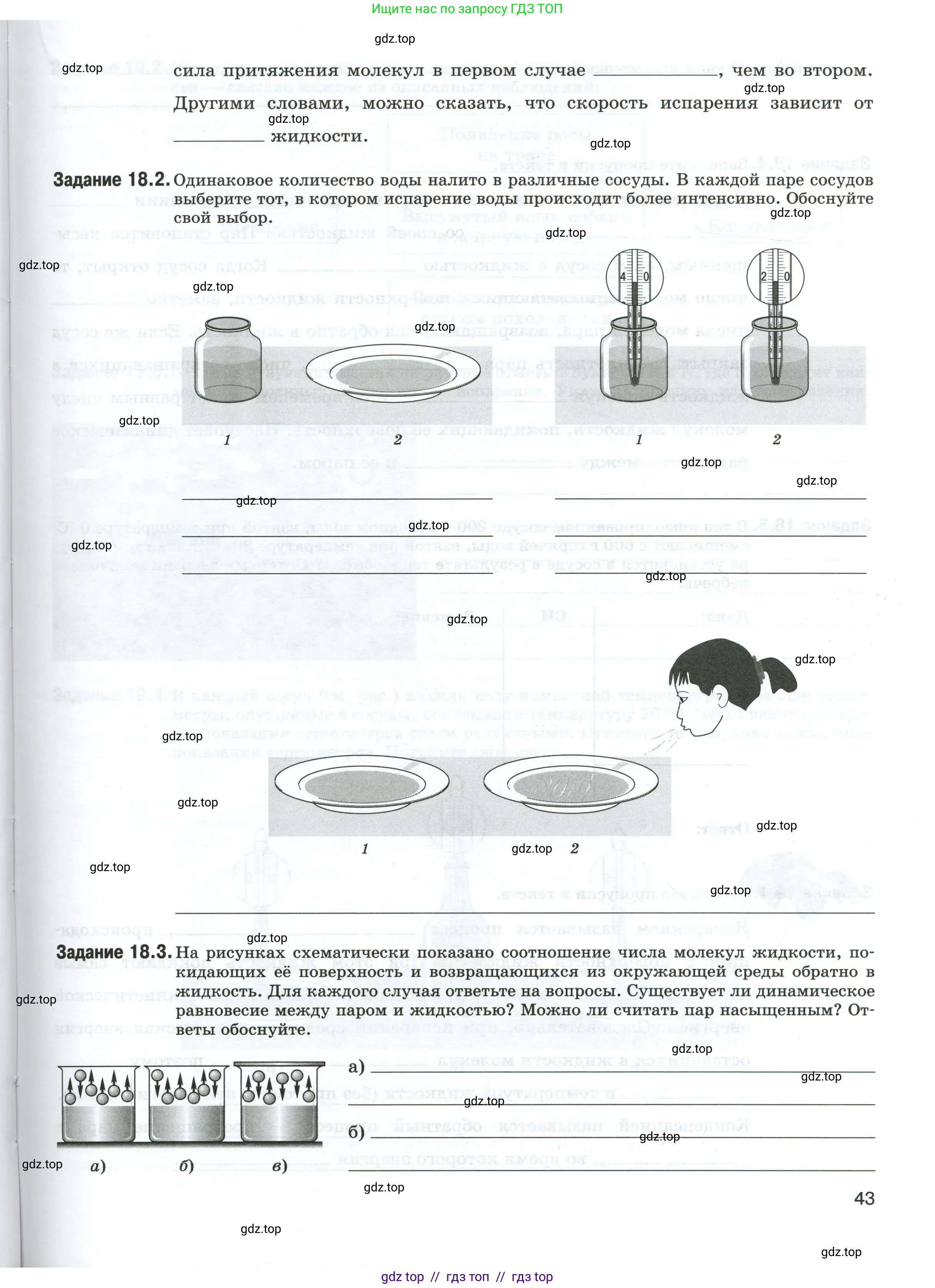 Физика, 8 класс рабочая тетрадь, автор: Ханнанова Татьяна Андреевна, издательство Просвещение, Москва, 2022, белого цвета, страница 43
