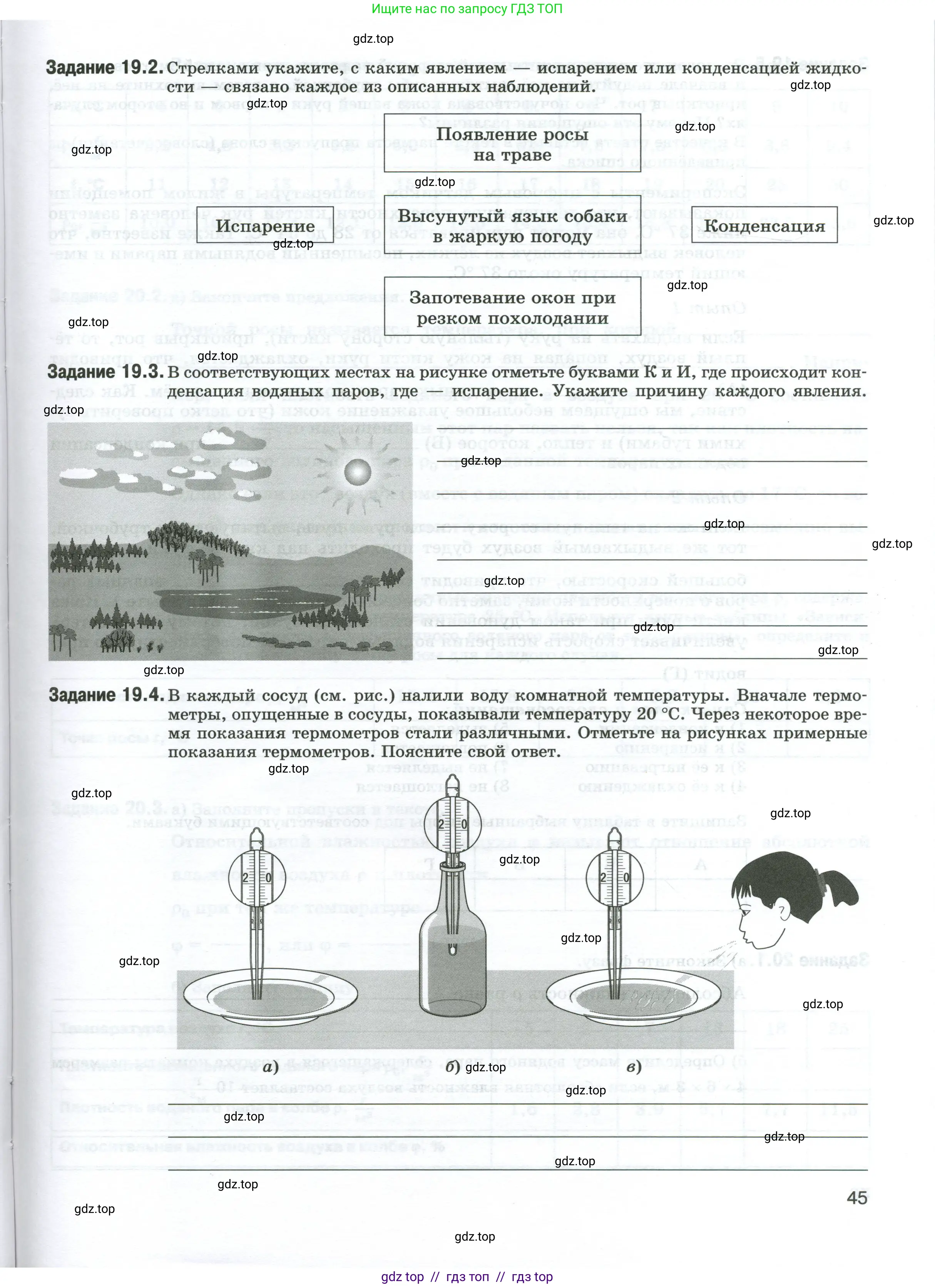 Физика, 8 класс рабочая тетрадь, автор: Ханнанова Татьяна Андреевна, издательство Просвещение, Москва, 2022, белого цвета, страница 45