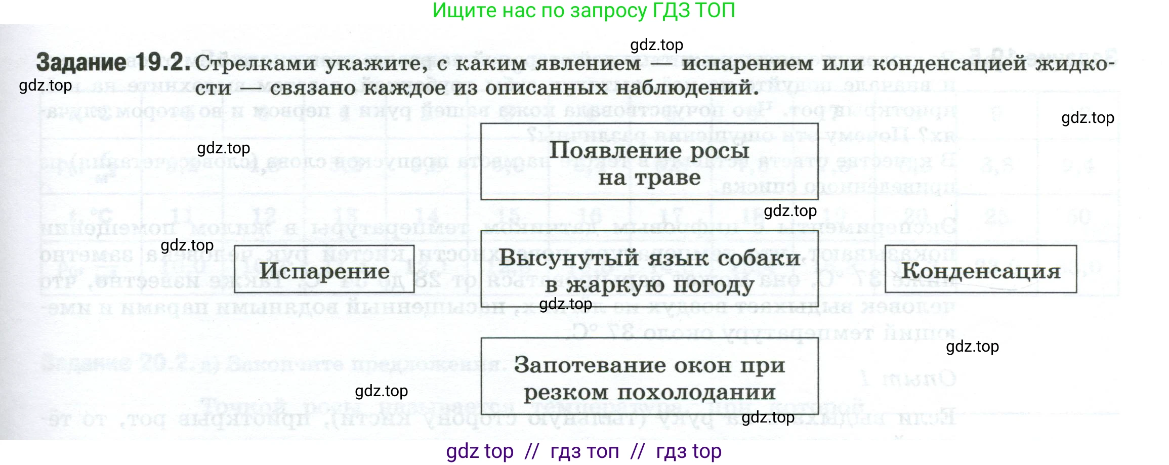 Физика, 8 класс рабочая тетрадь, автор: Ханнанова Татьяна Андреевна, издательство Просвещение, Москва, 2022, белого цвета, страница 45, номер 19.2, Условие