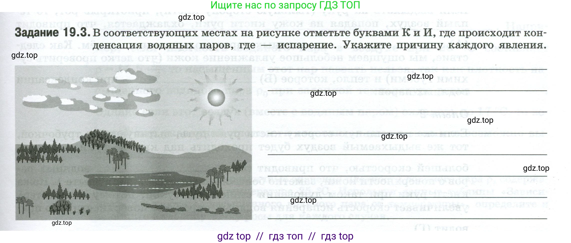 Физика, 8 класс рабочая тетрадь, автор: Ханнанова Татьяна Андреевна, издательство Просвещение, Москва, 2022, белого цвета, страница 45, номер 19.3, Условие