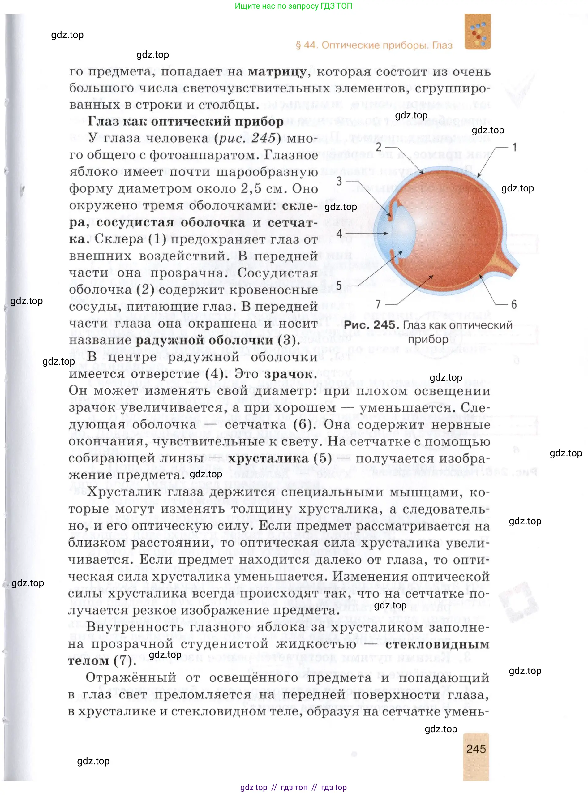 Физика, 8 класс Учебник, автор: Изергин Эдуард Тимофеевич, издательство Русское слово, Москва, 2019, страница 245