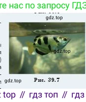Физика, 8 класс Учебник, авторы: Кронгарт Борис Аркадьевич, Насохова Шолпан Бабиевна, издательство Мектеп, Алматы, 2018, страница 198, номер 5, Условие (продолжение 2)