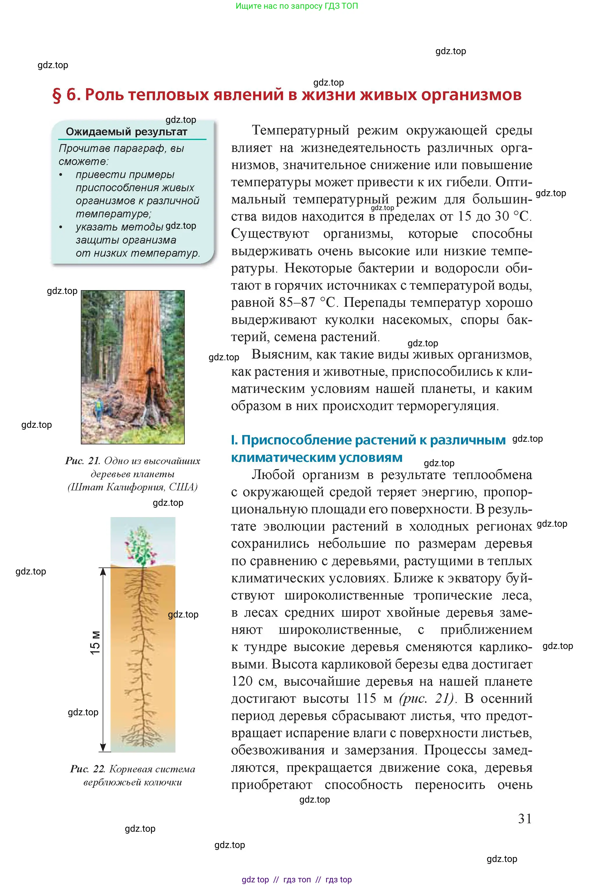 Физика, 8 класс Учебник, авторы: Закирова Назифа Анваровна, Аширов Руслан Рауфович, издательство Арман-ПВ, Алматы, 2018, страница 31