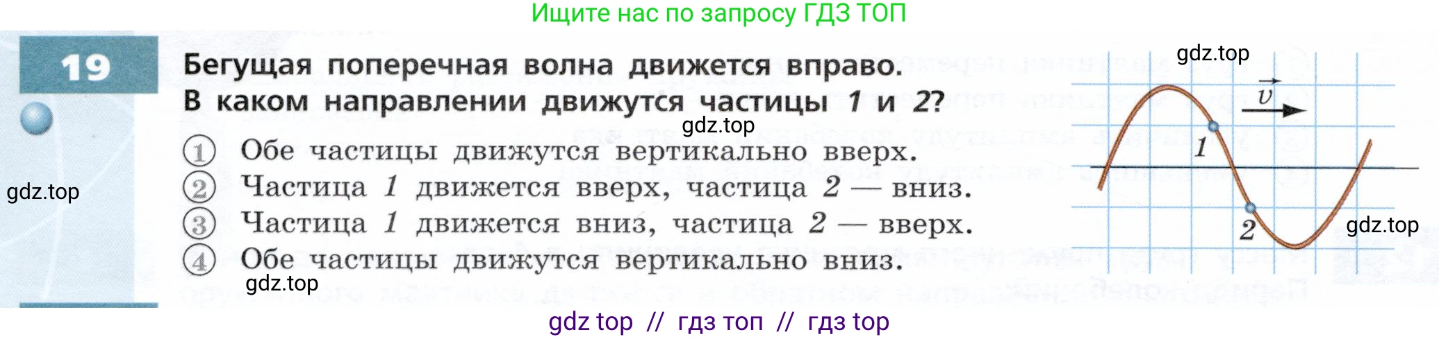 Физика, 9 класс Тетрадь-тренажёр, авторы: Артеменков Денис Александрович, Белага Виктория Владимировна, Воронцова Наталия Игоревна, Жумаев Владислав Викторович, Ломаченков Иван Алексеевич, Панебратцев Юрий Анатольевич, издательство Просвещение, Москва, 2024, голубого цвета, страница 72, номер 19, Условие