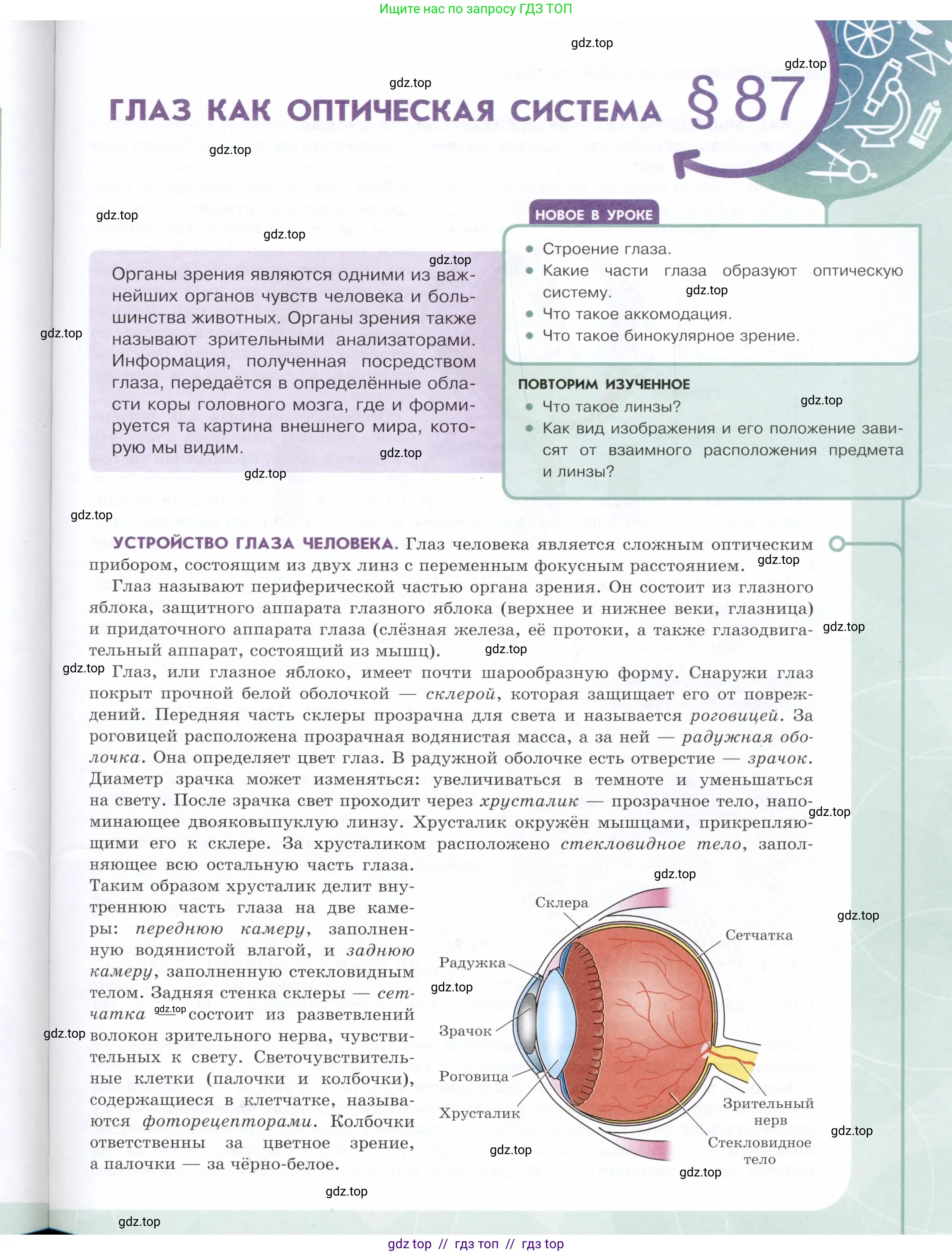 Физика, 9 класс Учебник, авторы: Белага Виктория Владимировна, Воронцова Наталия Игоревна, Ломаченков Иван Алексеевич, Панебратцев Юрий Анатольевич, издательство Просвещение, Москва, 2024, голубого цвета, Часть 2, страница 101