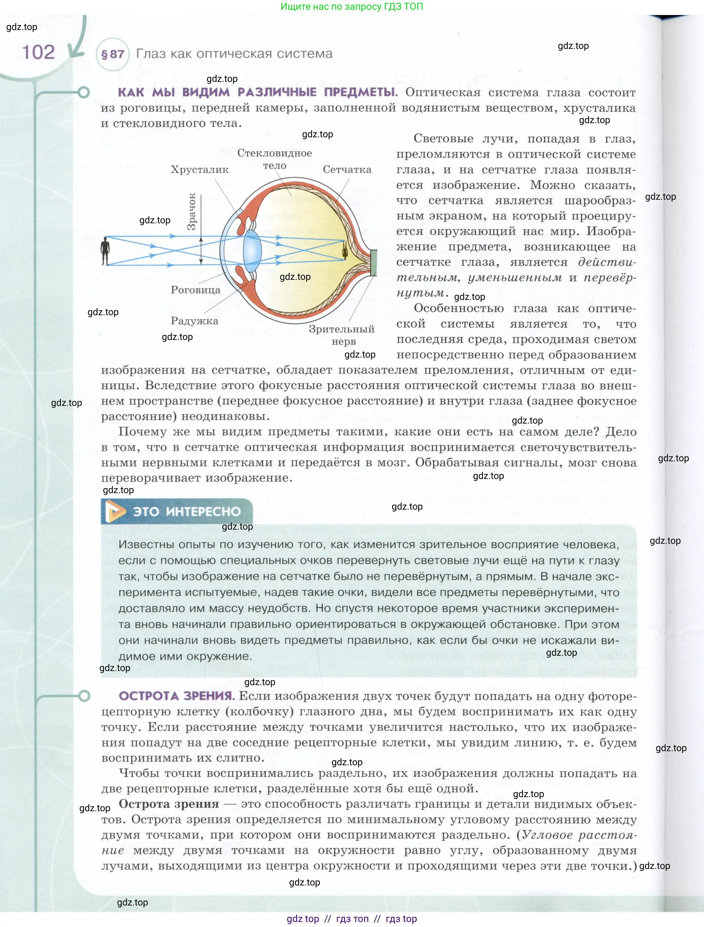 Физика, 9 класс Учебник, авторы: Белага Виктория Владимировна, Воронцова Наталия Игоревна, Ломаченков Иван Алексеевич, Панебратцев Юрий Анатольевич, издательство Просвещение, Москва, 2024, голубого цвета, страница 102