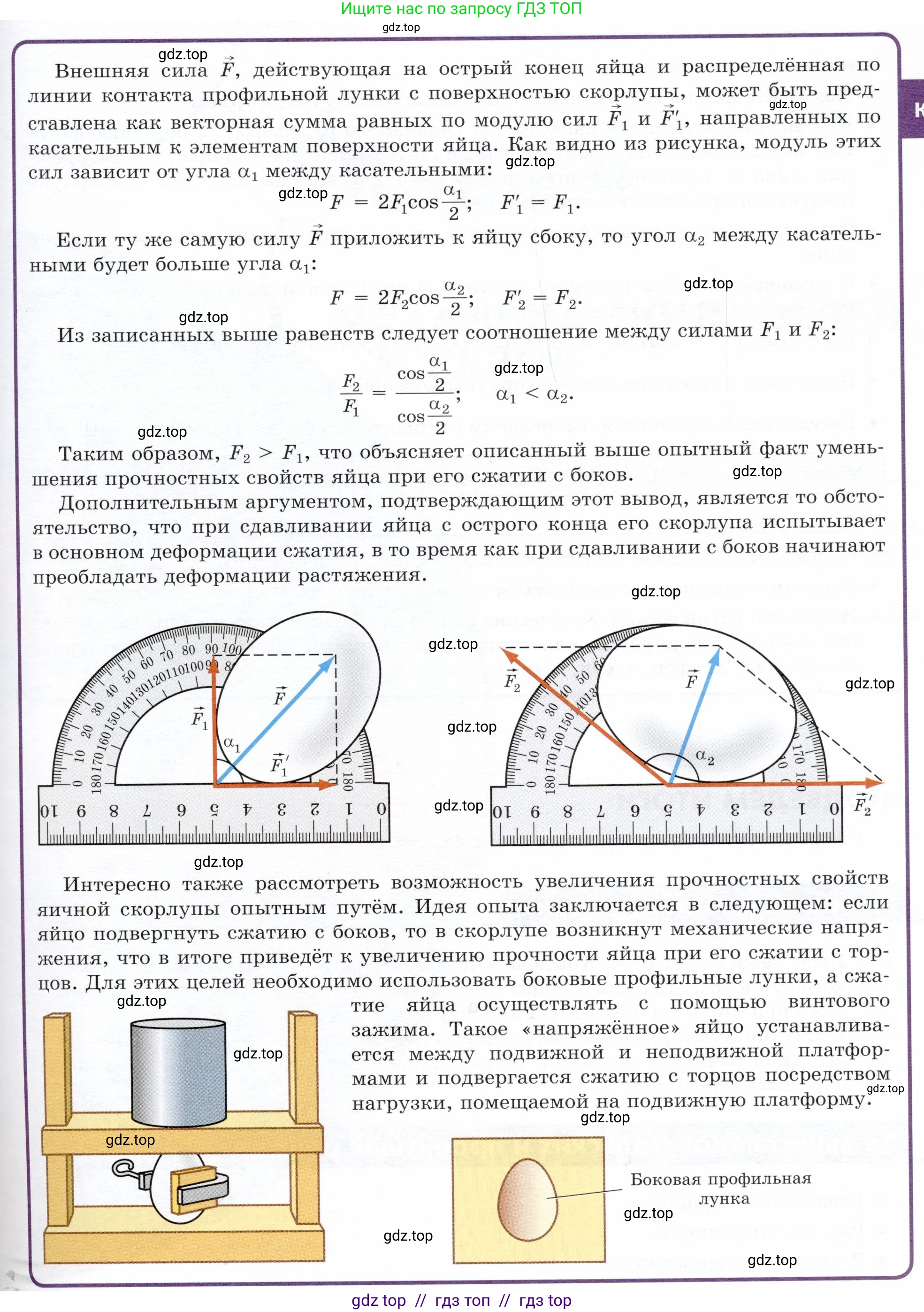 Физика, 9 класс Учебник, авторы: Белага Виктория Владимировна, Воронцова Наталия Игоревна, Ломаченков Иван Алексеевич, Панебратцев Юрий Анатольевич, издательство Просвещение, Москва, 2024, голубого цвета, Часть 1, страница 137, Условие (продолжение 3)
