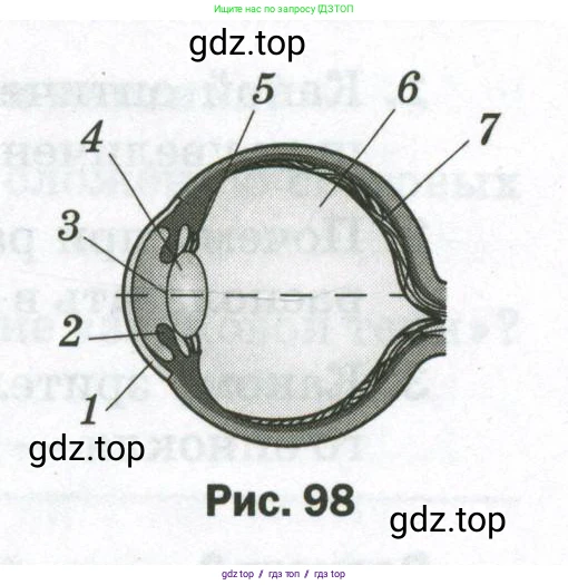 Физика, 9 класс Самостоятельные и контрольные работы, авторы: Марон Абрам Евсеевич, Марон Евгений Абрамович, издательство Просвещение, Москва, 2021, белого цвета, страница 63, номер 1, Условие (продолжение 2)