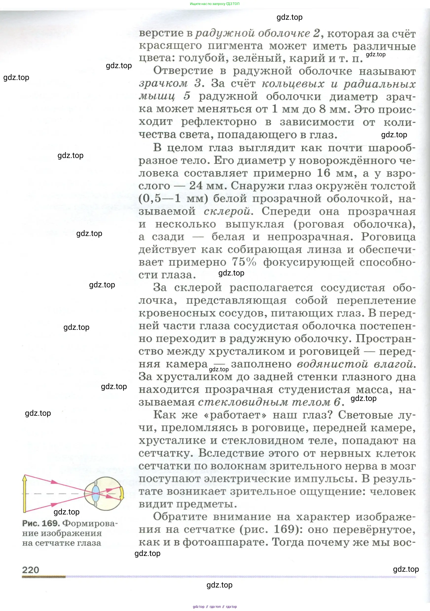 Физика, 9 класс Учебник, авторы: Пёрышкин И М, Гутник Елена Моисеевна, Иванов Александр Иванович, Петрова Мария Арсеньевна, издательство Просвещение, Москва, 2023, белого цвета, страница 220